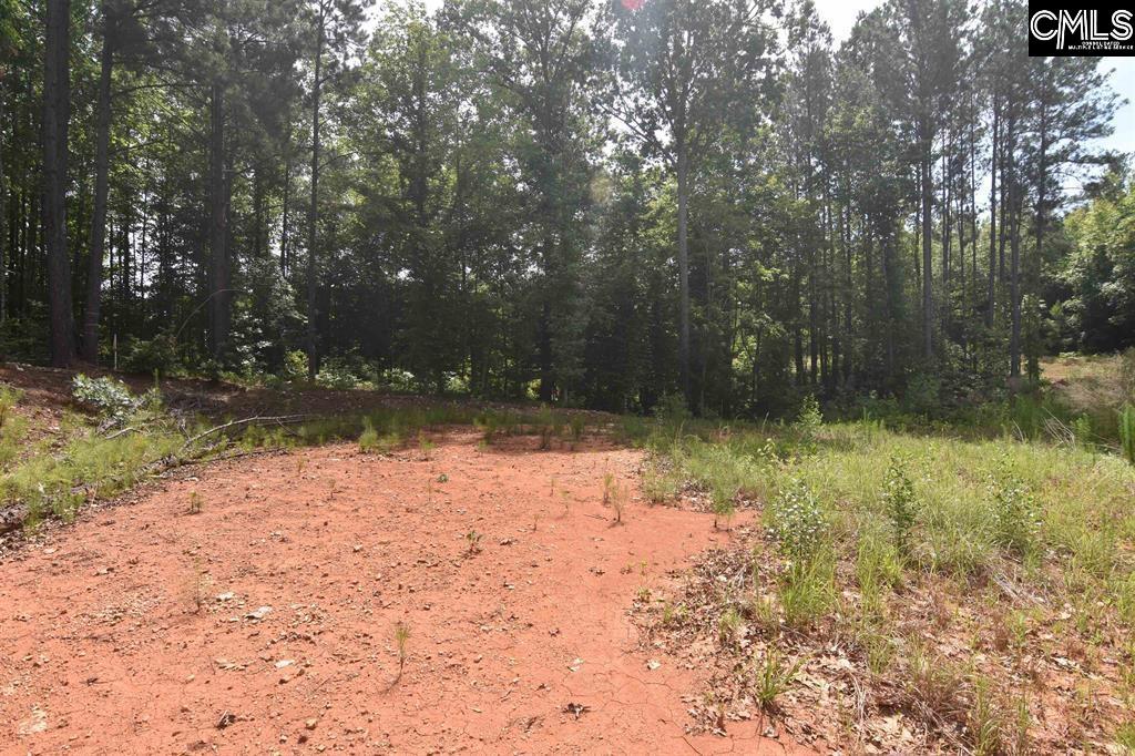 Longview Drive UNIT #90 Leesville, SC 29070