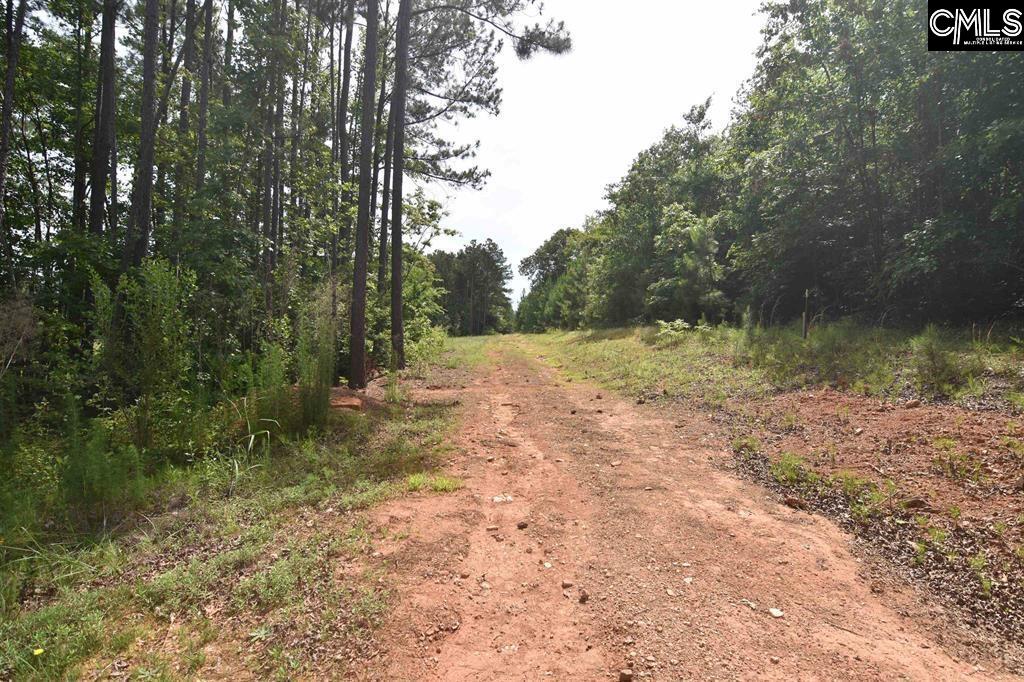Longview Drive UNIT #90 Leesville, SC 29070