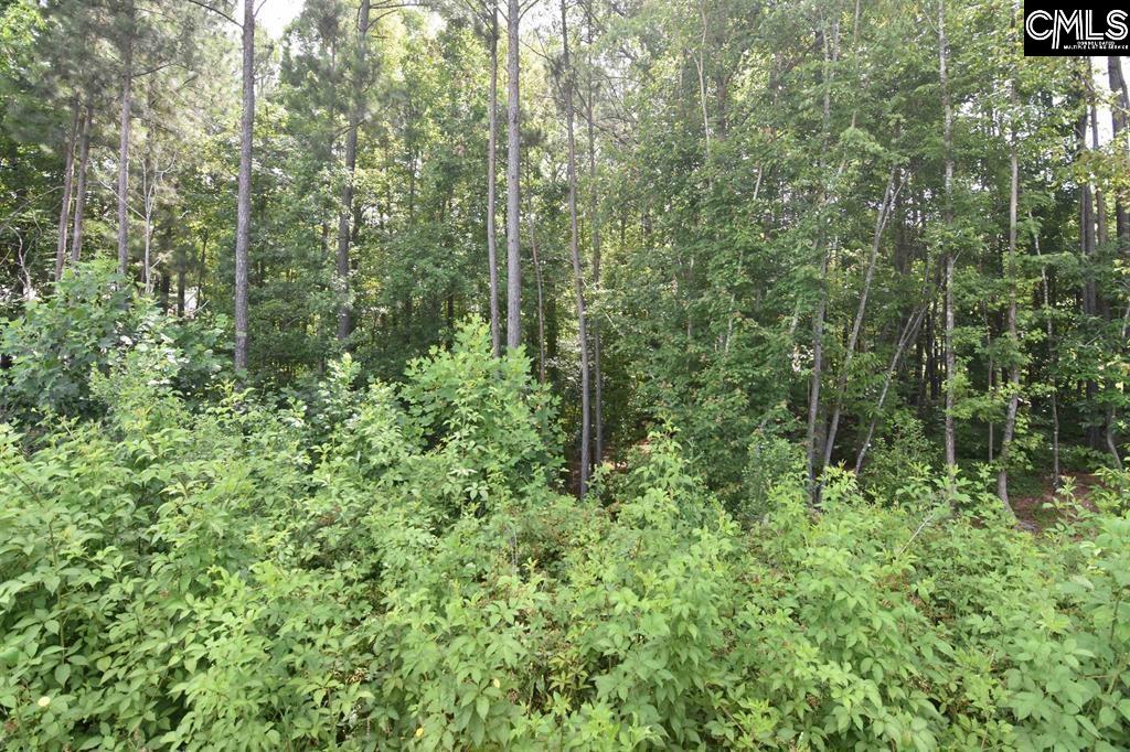 Longview Drive UNIT #90 Leesville, SC 29070