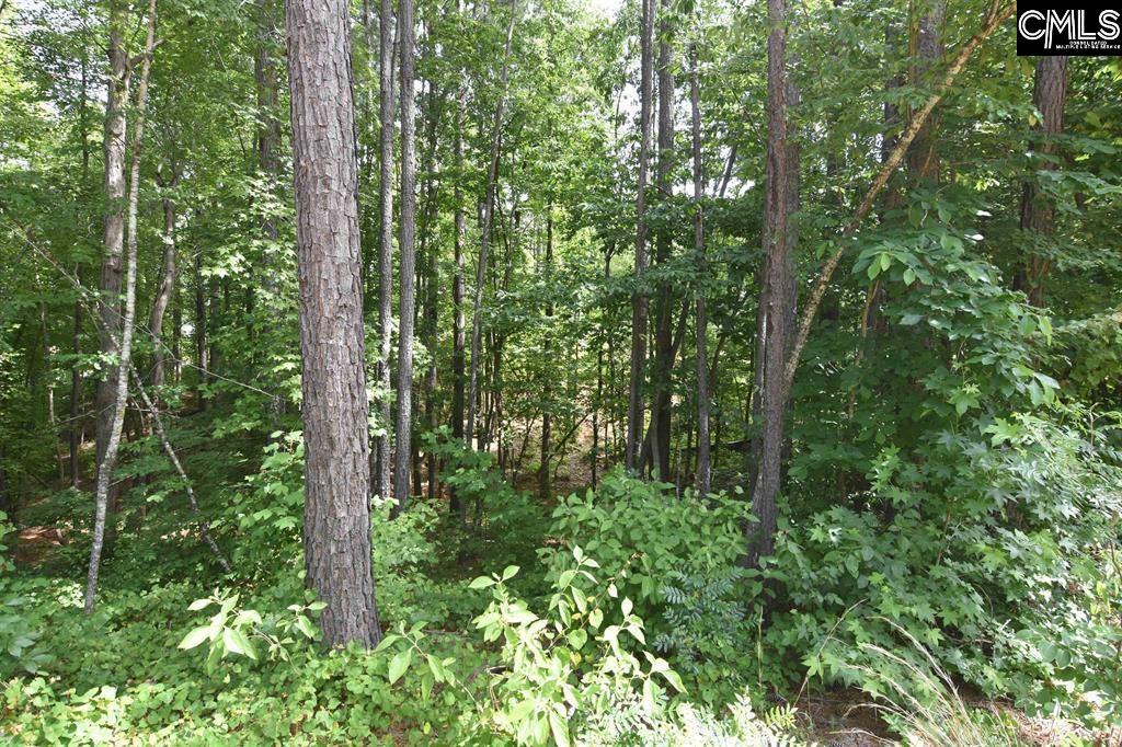 Longview Drive UNIT #90 Leesville, SC 29070