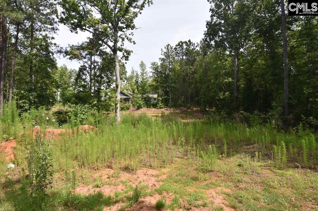 Longview Drive UNIT #90 Leesville, SC 29070