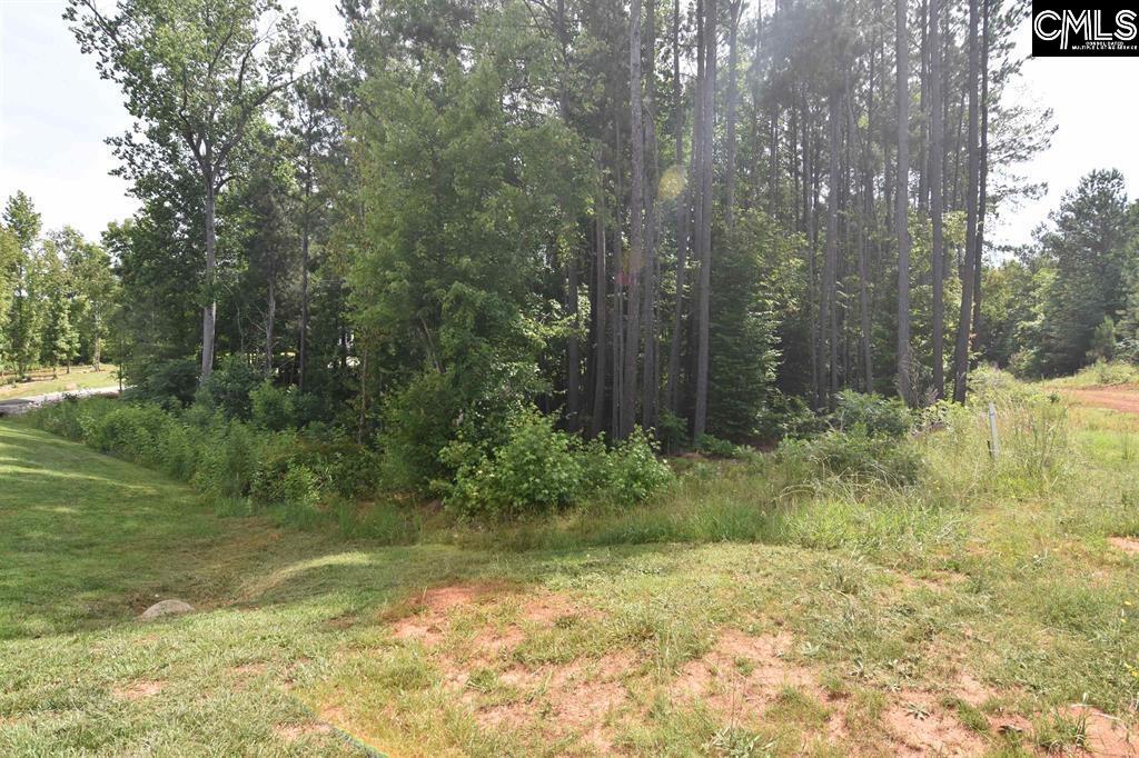 Longview Drive UNIT #90 Leesville, SC 29070