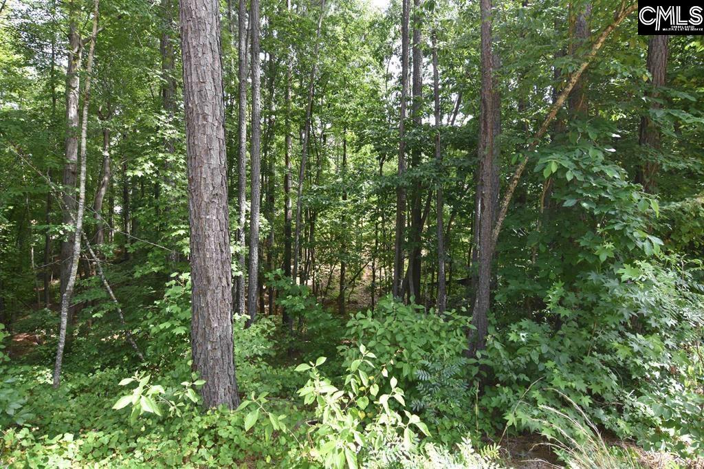 Longview Drive UNIT #90 Leesville, SC 29070