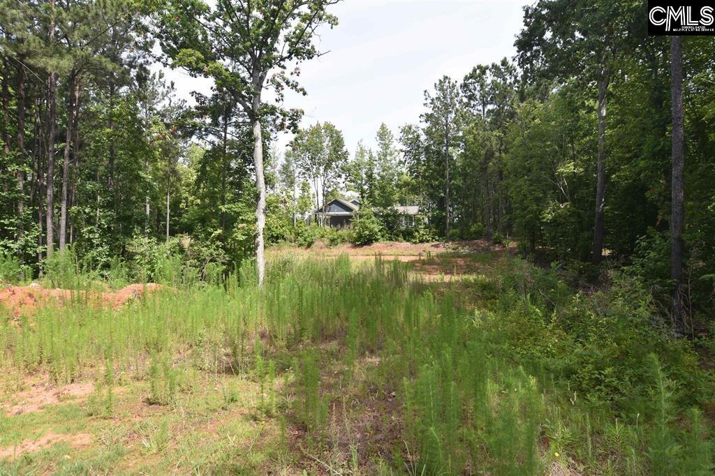 Longview Drive UNIT #90 Leesville, SC 29070