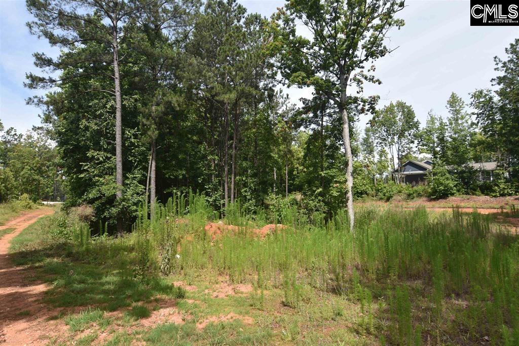 Longview Drive UNIT #90 Leesville, SC 29070