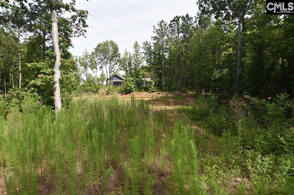 Longview Drive UNIT #90 Leesville, SC 29070