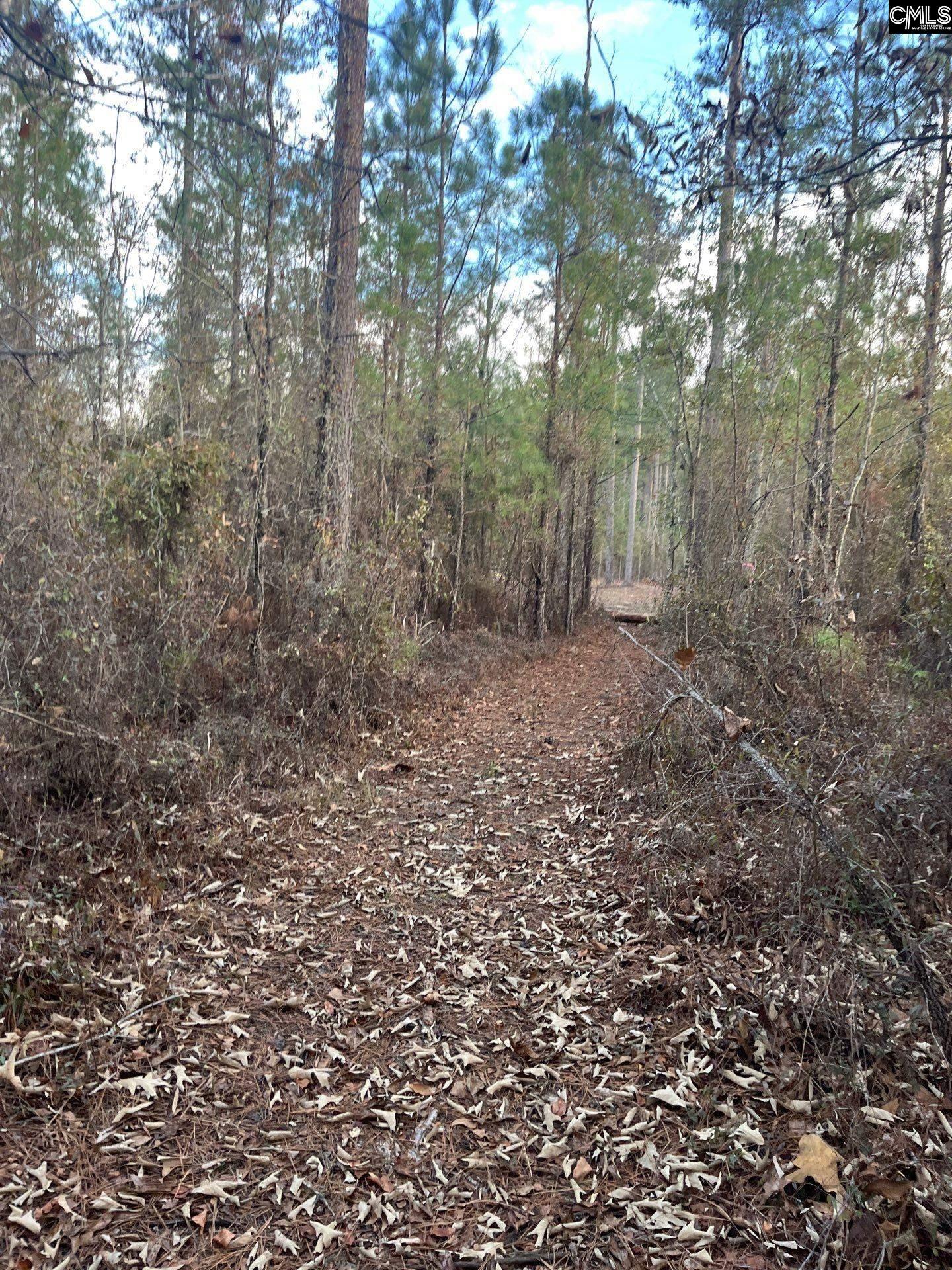 Goo 10 A Wendell Lane Wagener, SC 29164