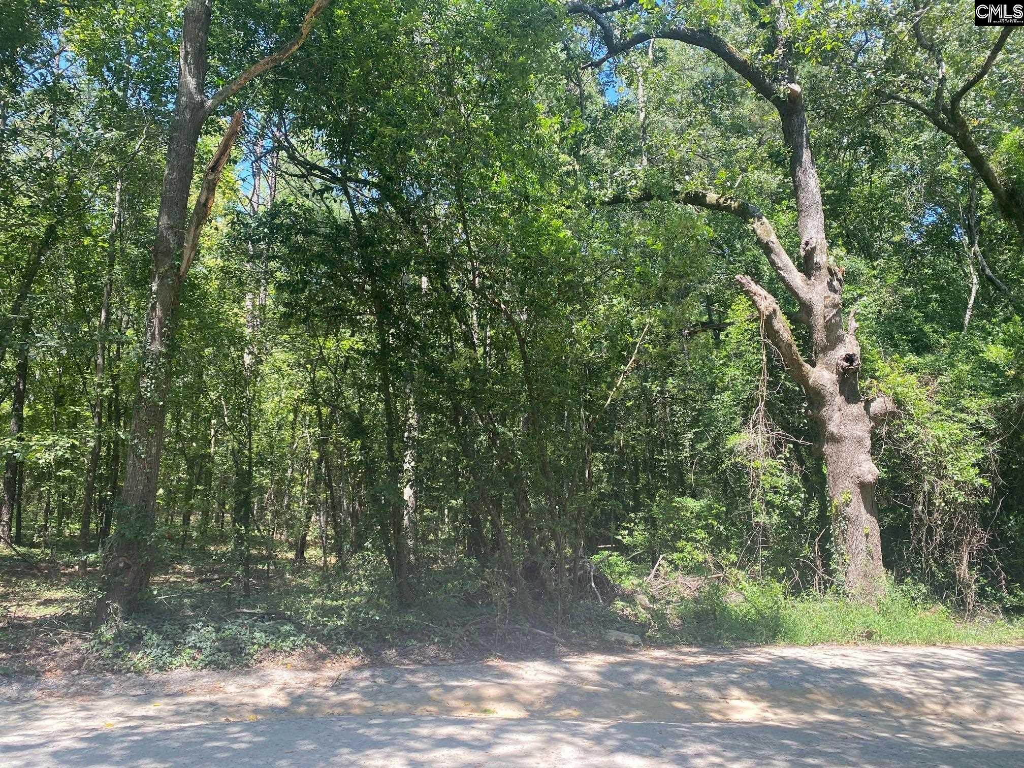 Mathias Road West Columbia, SC 29169