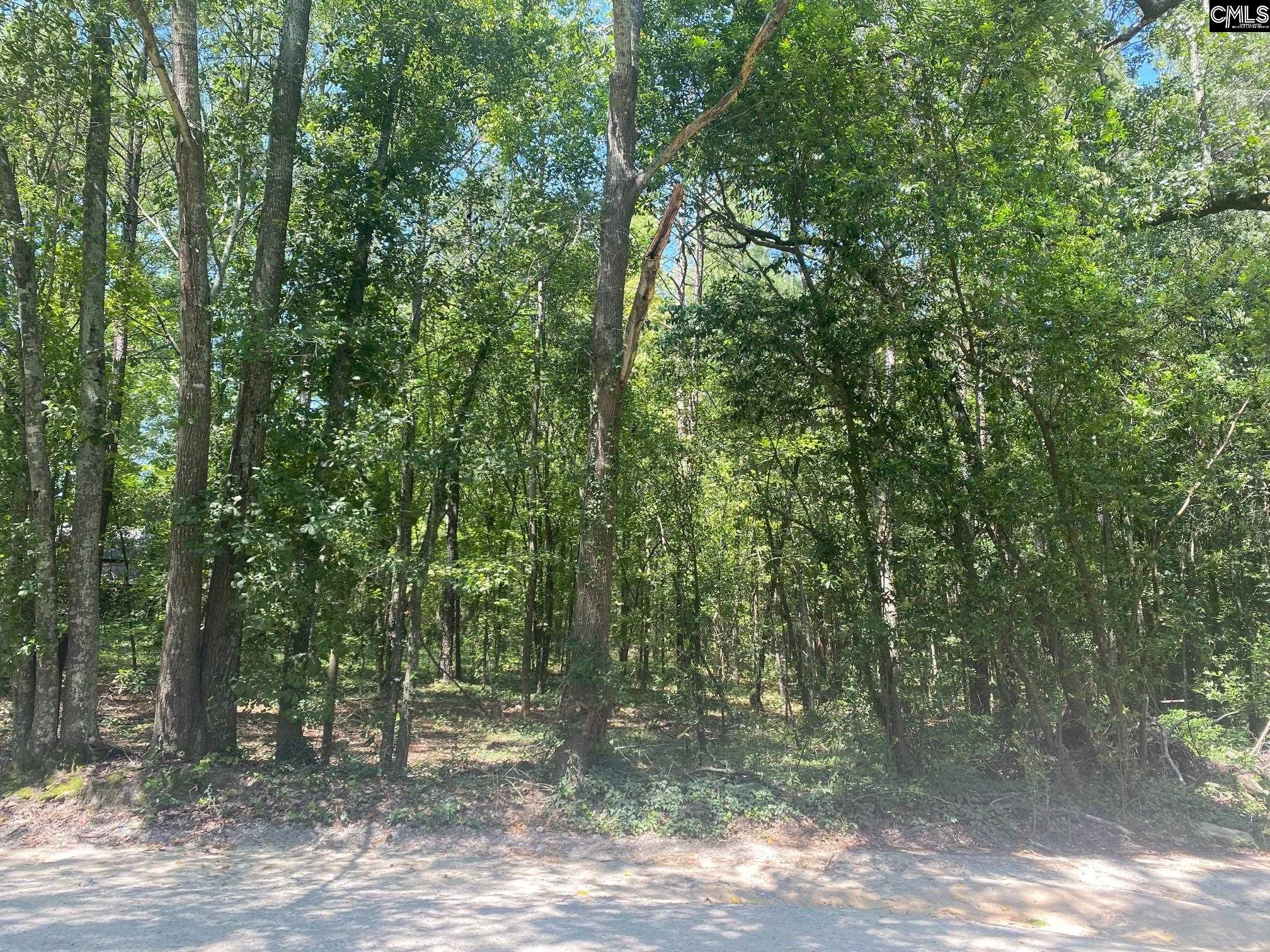 Mathias Road West Columbia, SC 29169