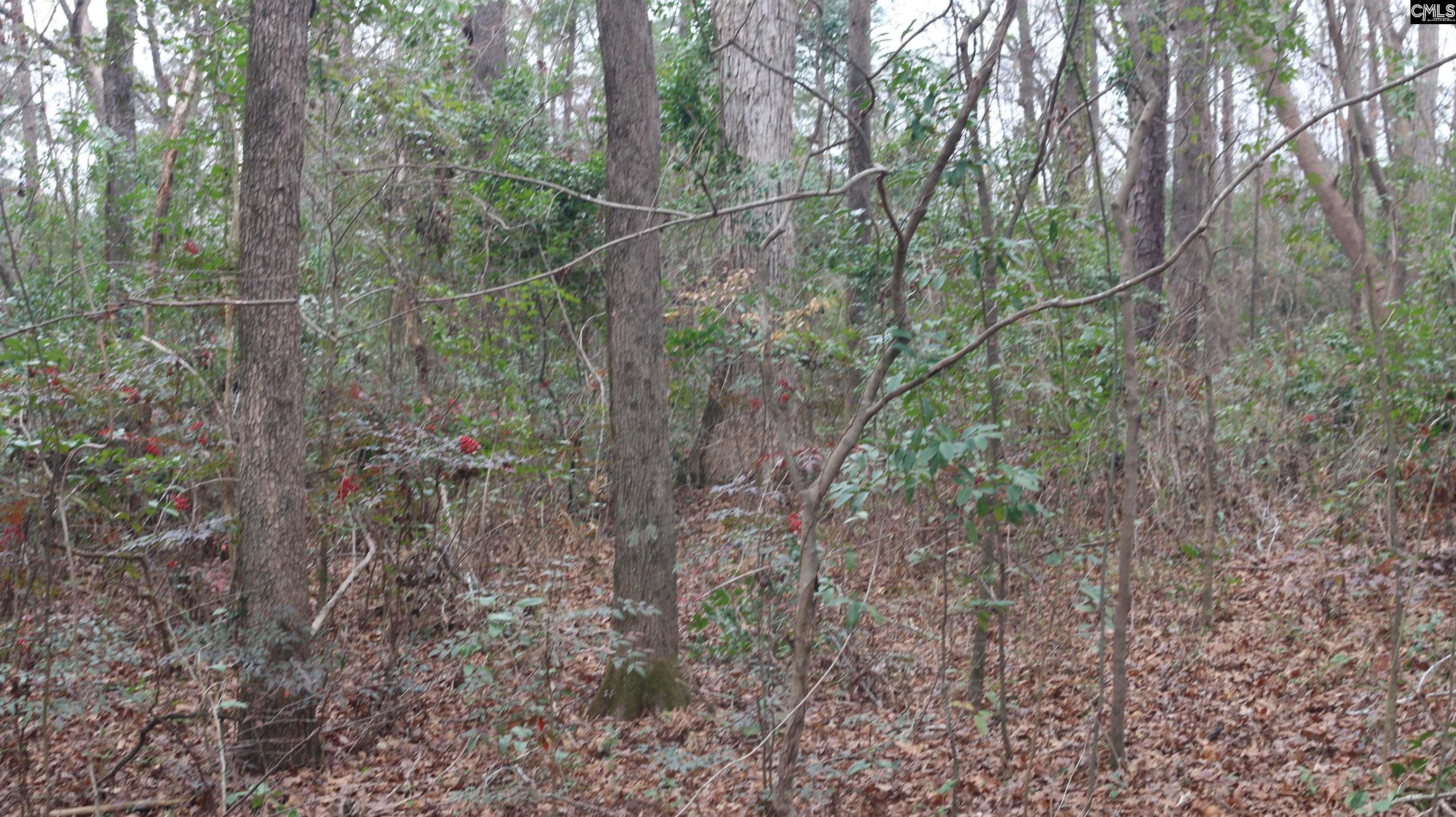 291 Big Timber Drive UNIT #16 Lexington, SC 29073