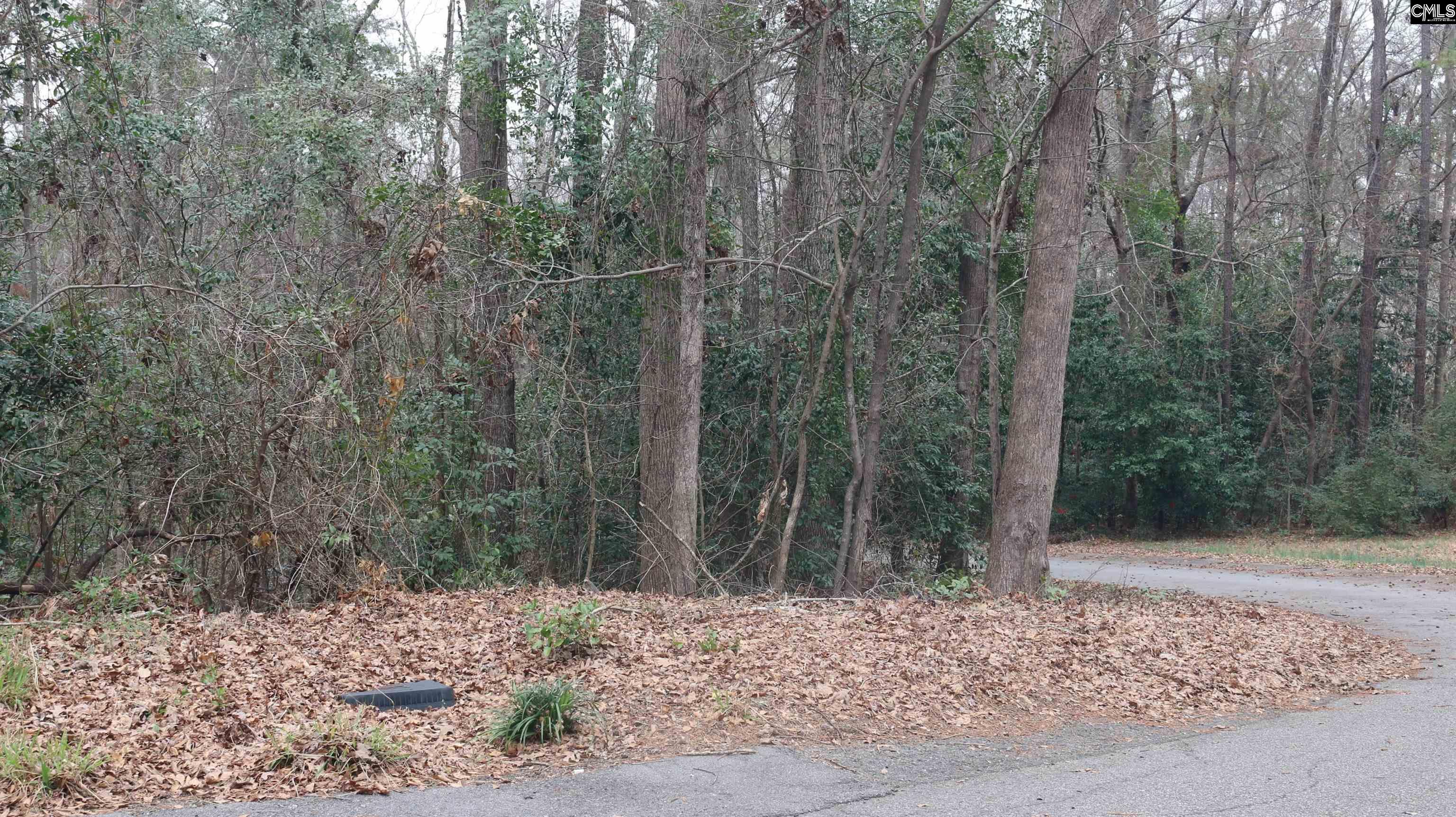 291 Big Timber Drive UNIT #16 Lexington, SC 29073