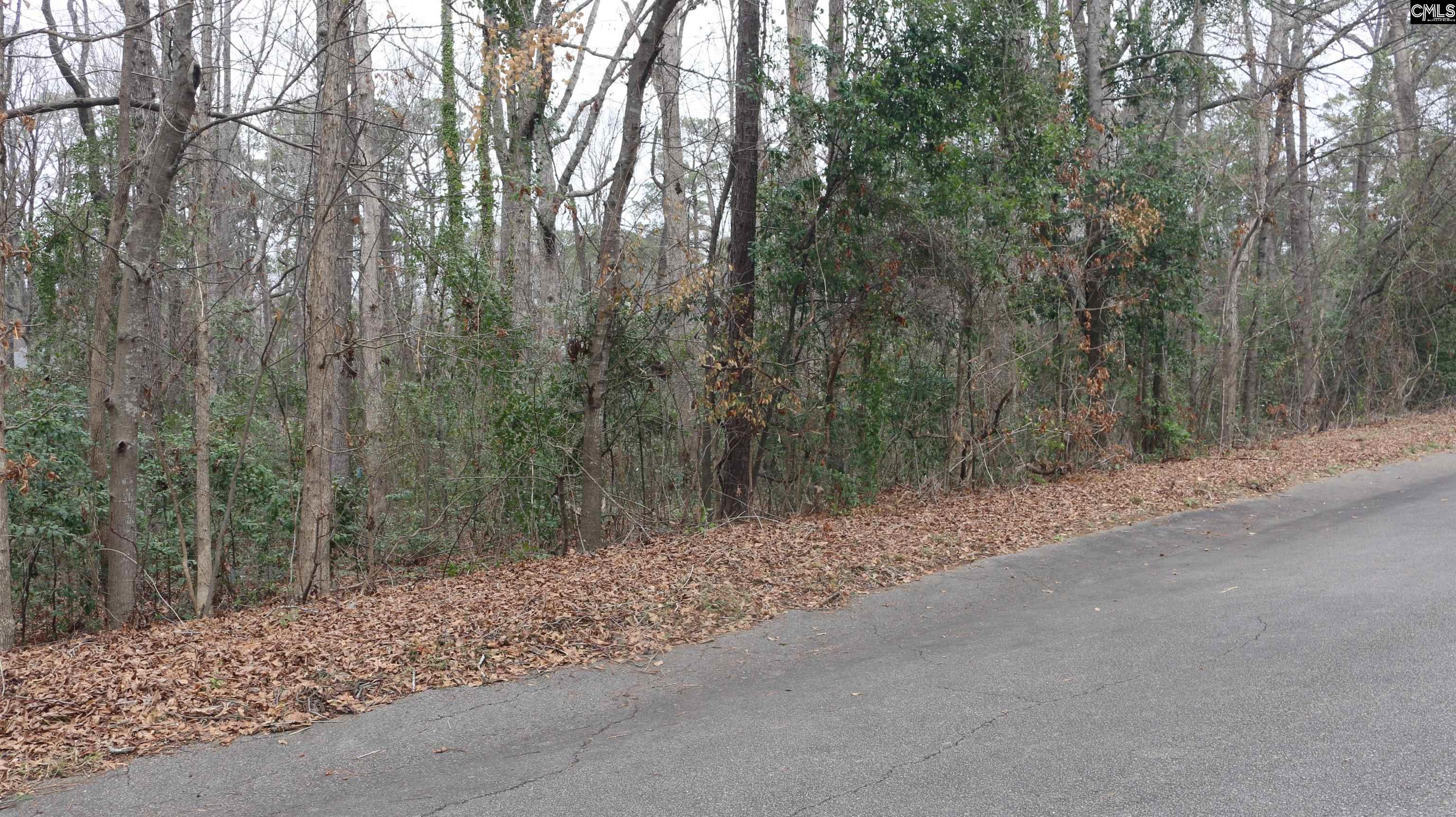 291 Big Timber Drive UNIT #16 Lexington, SC 29073