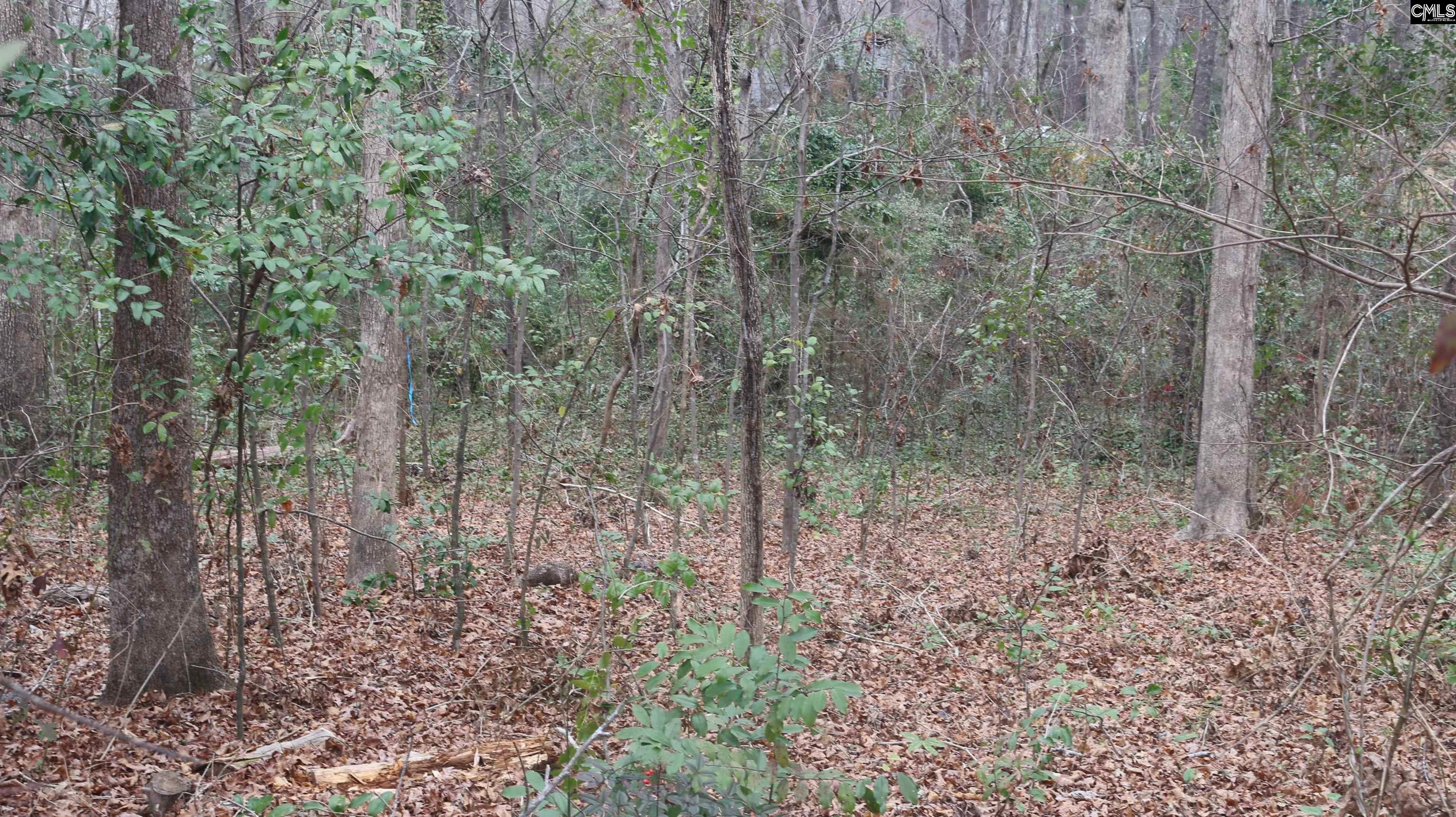 291 Big Timber Drive UNIT #16 Lexington, SC 29073