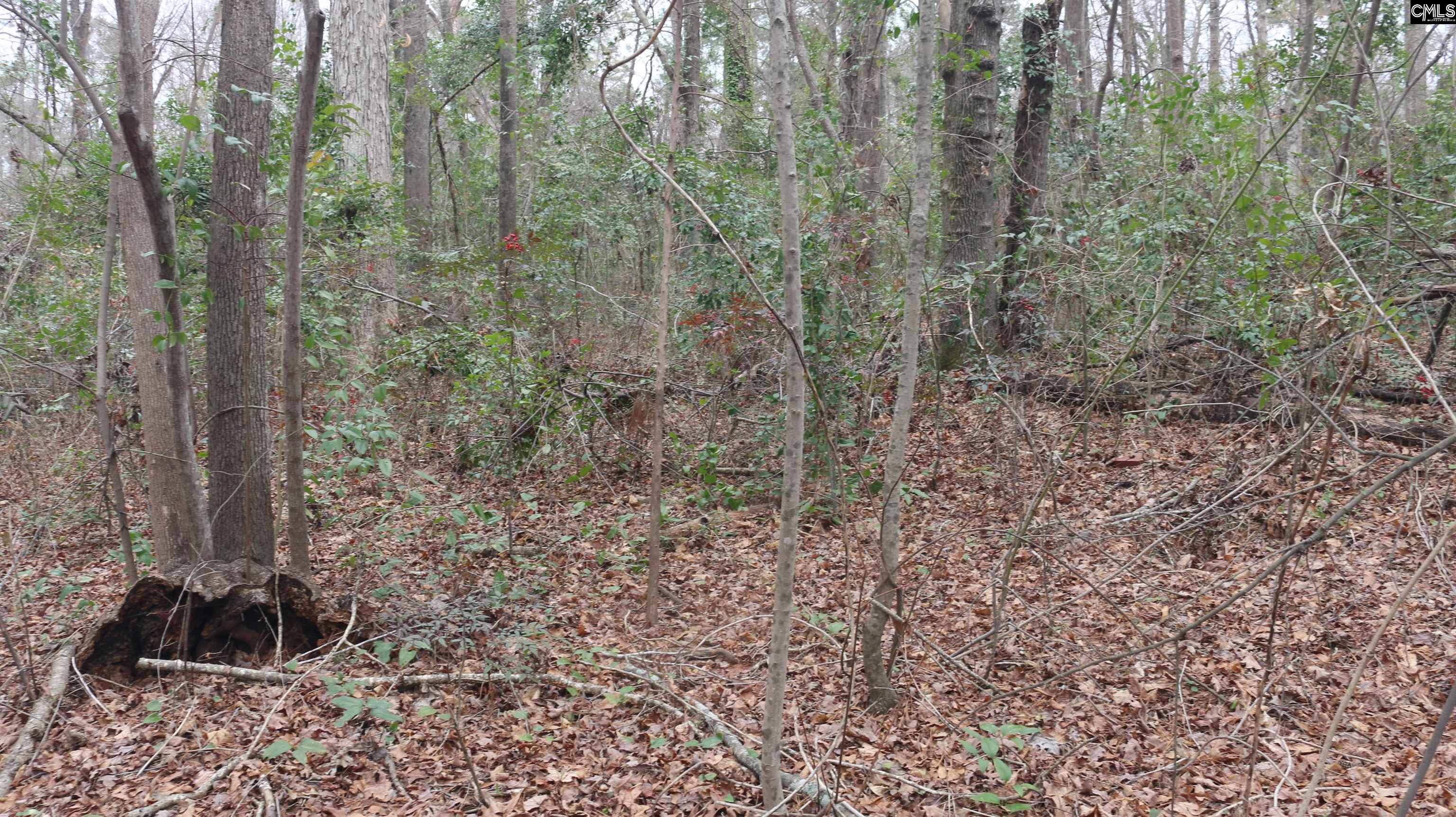 291 Big Timber Drive UNIT #16 Lexington, SC 29073