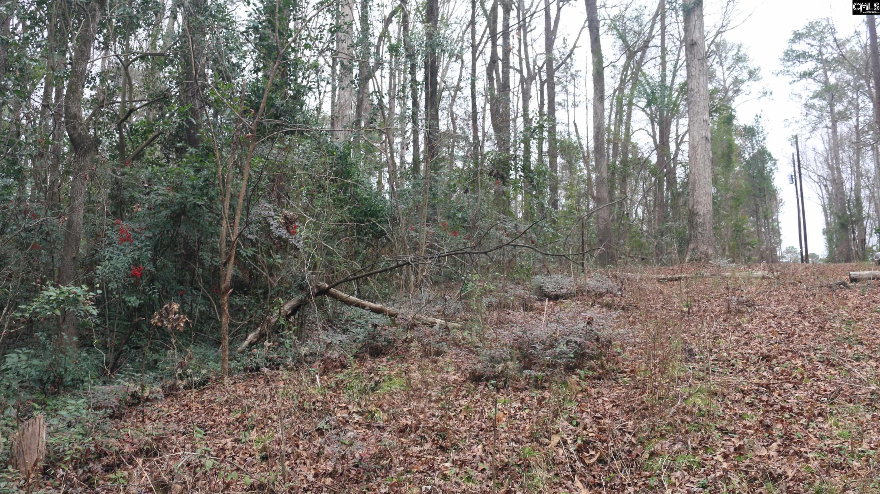 291 Big Timber Drive UNIT #16 Lexington, SC 29073