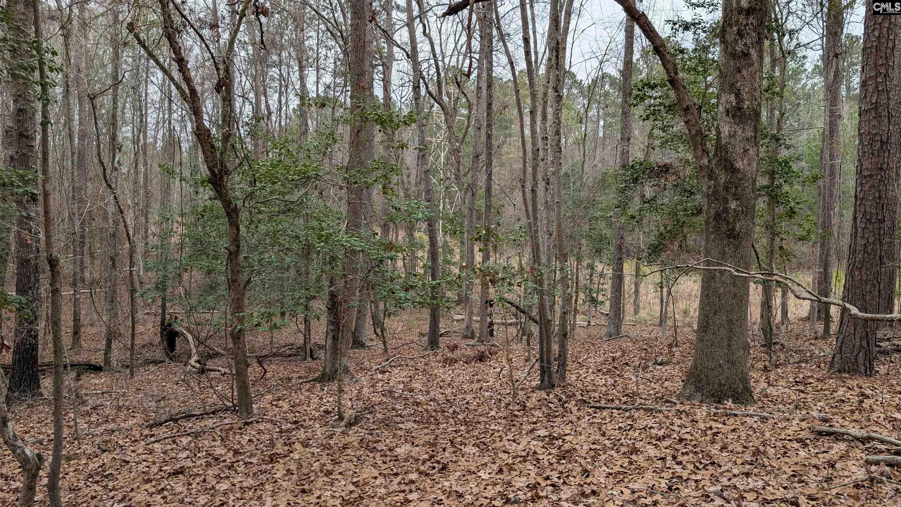Lots B & C Miller Road UNIT B and C Camden, SC 29020-0000