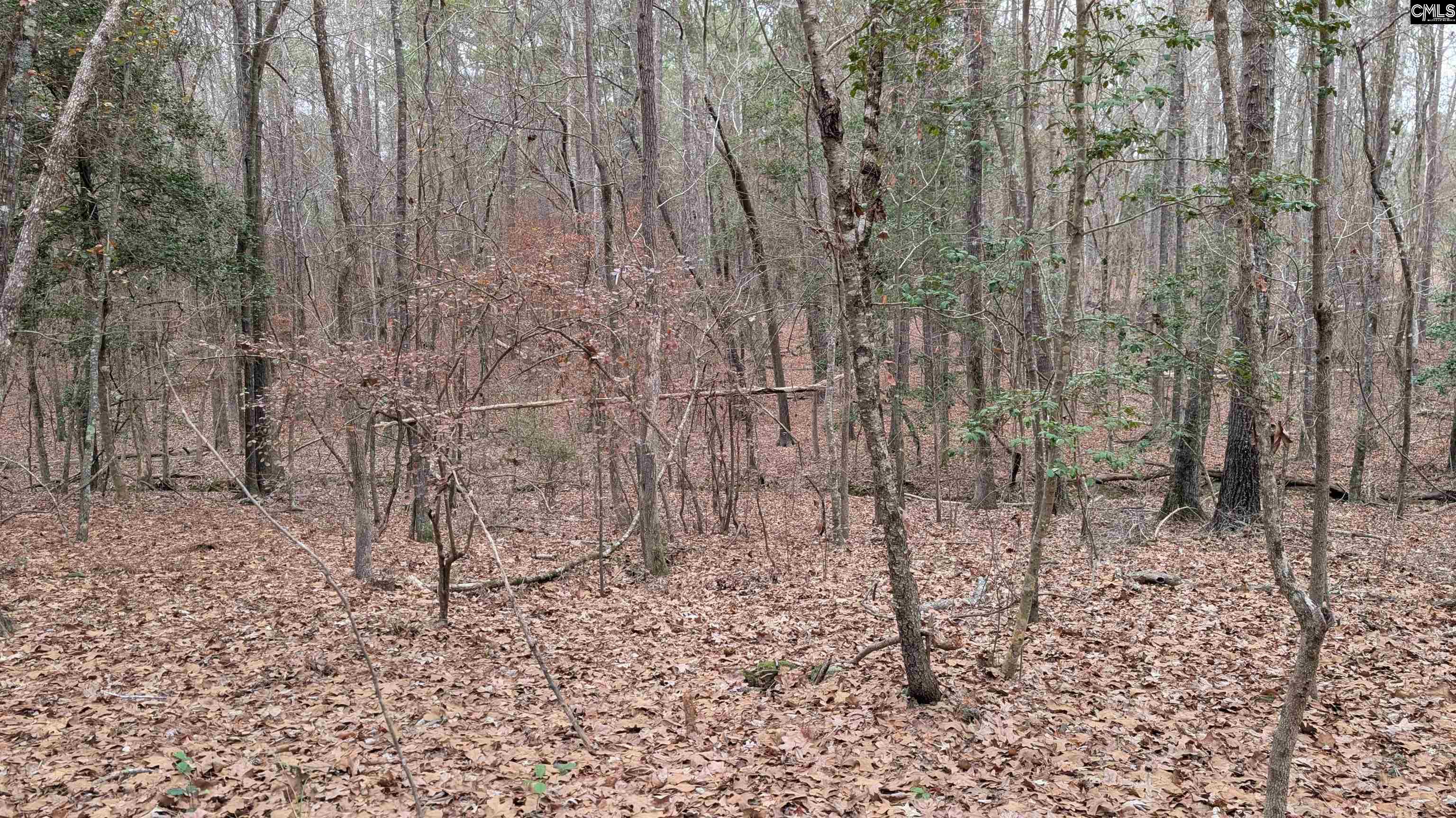 Lots B & C Miller Road UNIT B and C Camden, SC 29020-0000
