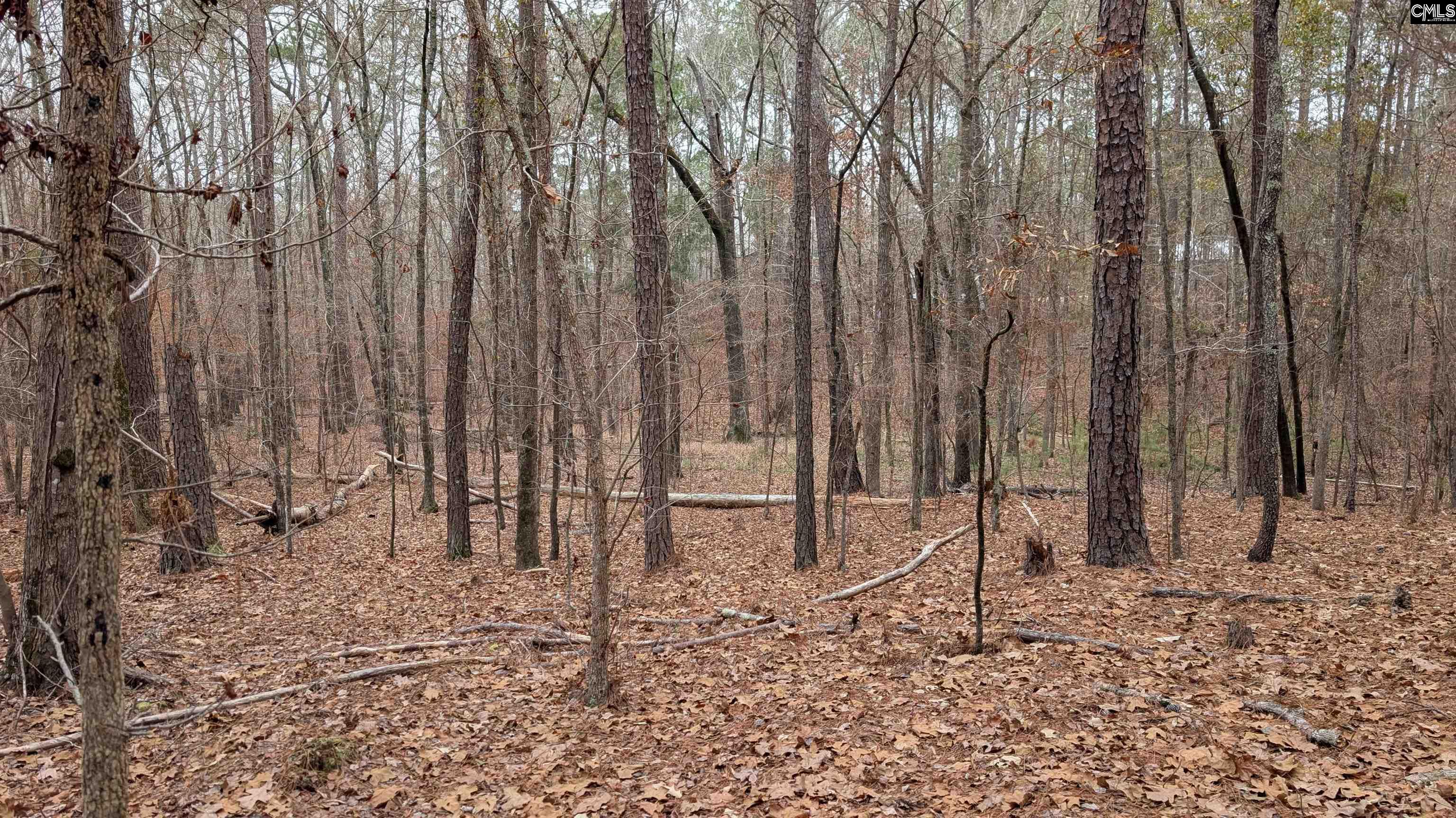 Lots B & C Miller Road UNIT B and C Camden, SC 29020-0000