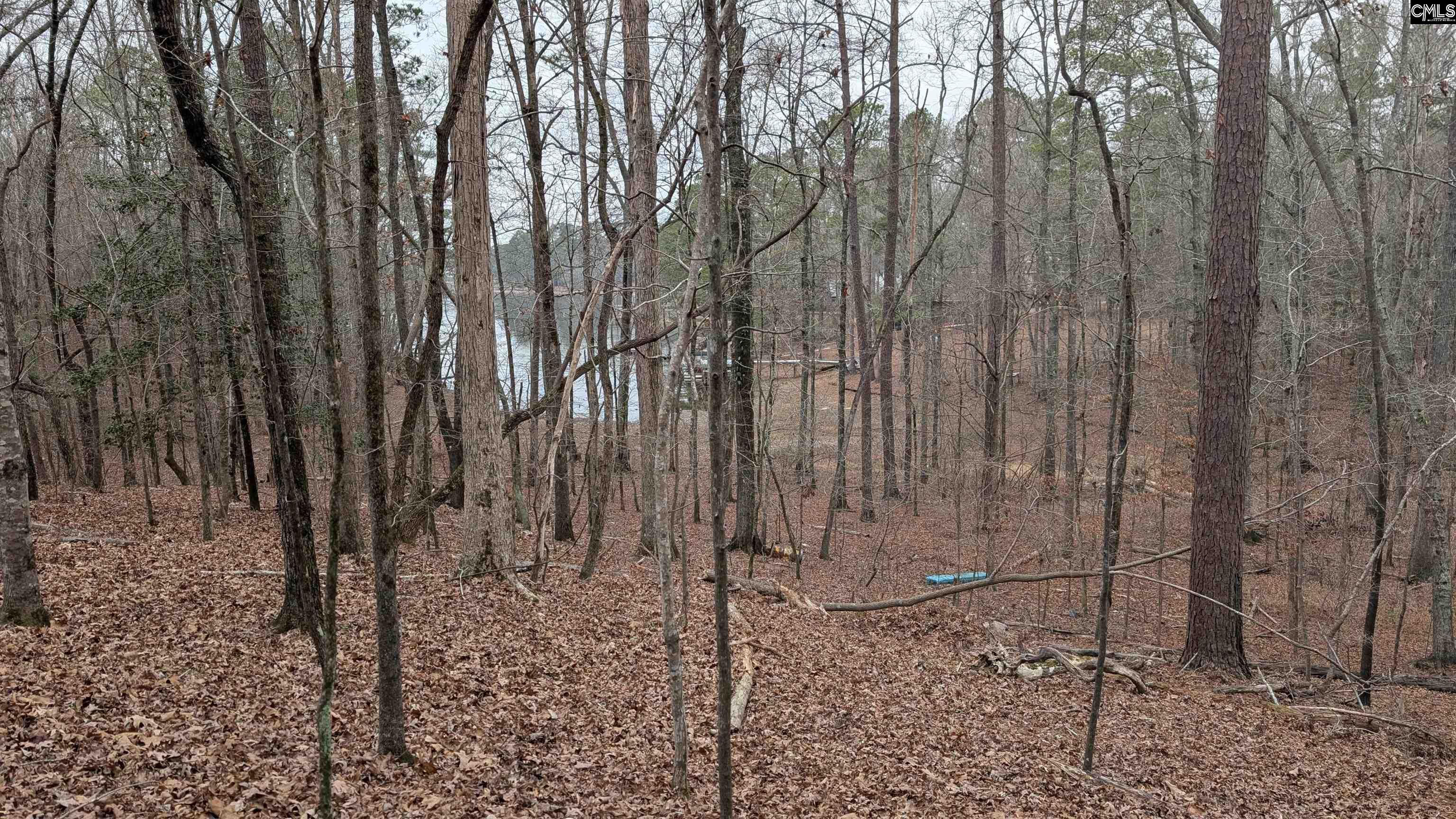 Lots B & C Miller Road UNIT B and C Camden, SC 29020-0000