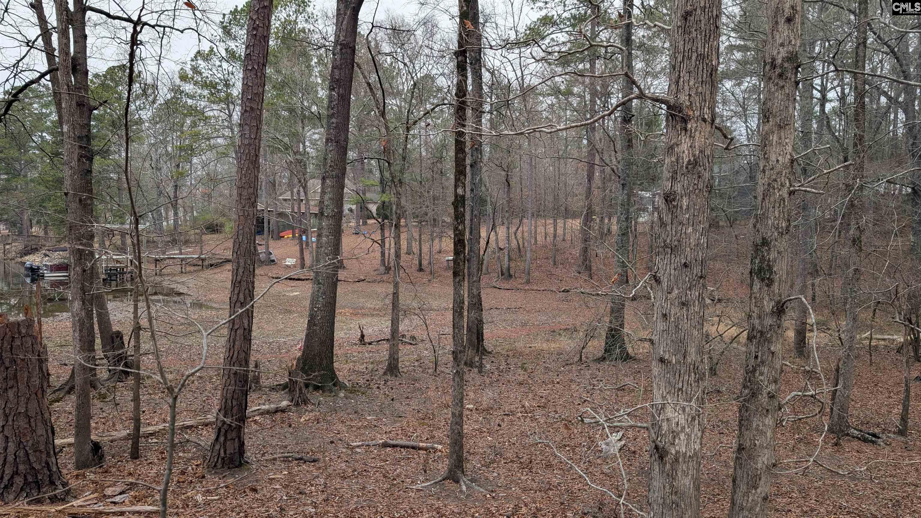 Lots B & C Miller Road UNIT B and C Camden, SC 29020-0000