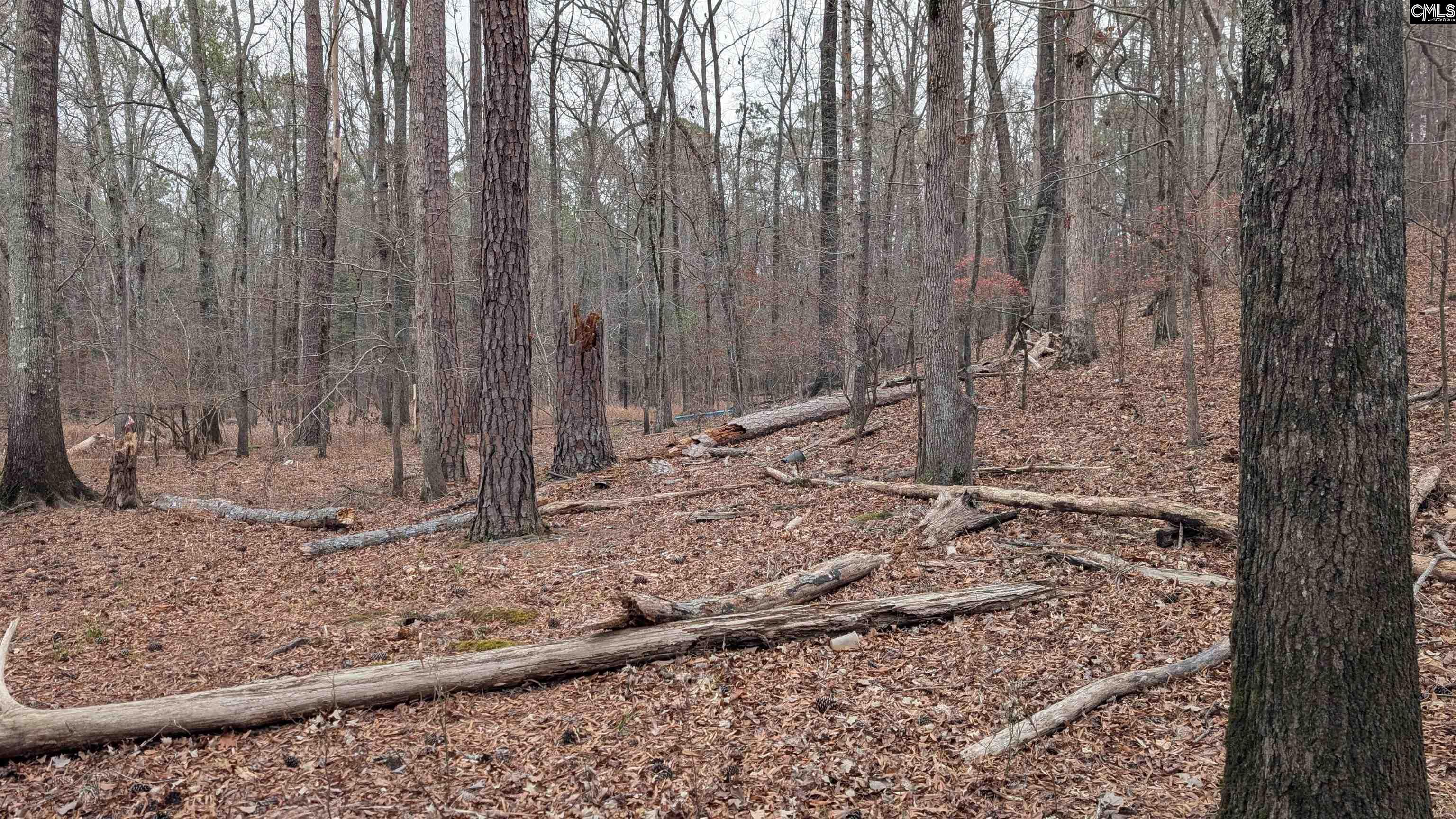 Lots B & C Miller Road UNIT B and C Camden, SC 29020-0000