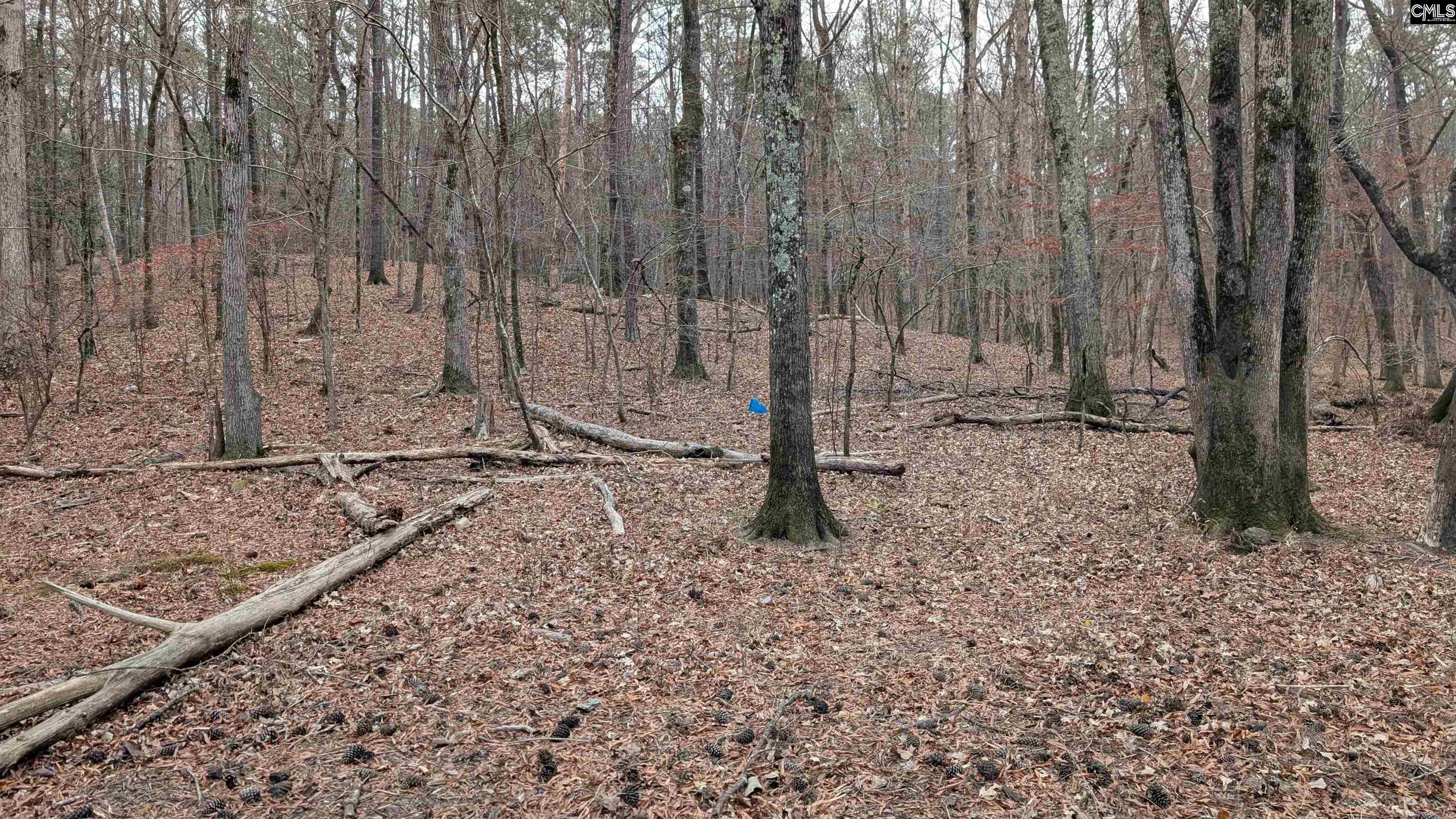 Lots B & C Miller Road UNIT B and C Camden, SC 29020-0000