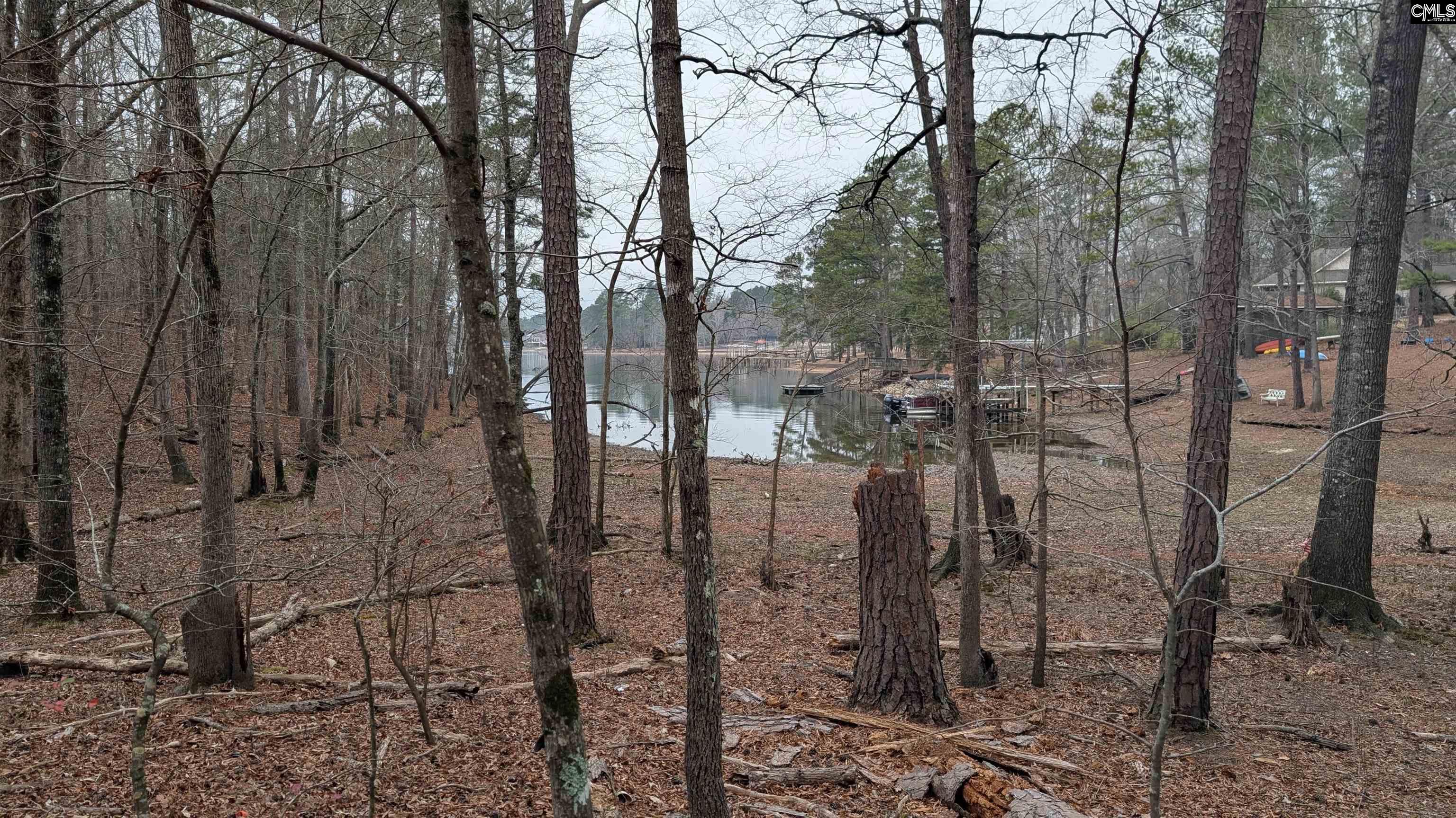 Lots B & C Miller Road UNIT B and C Camden, SC 29020-0000