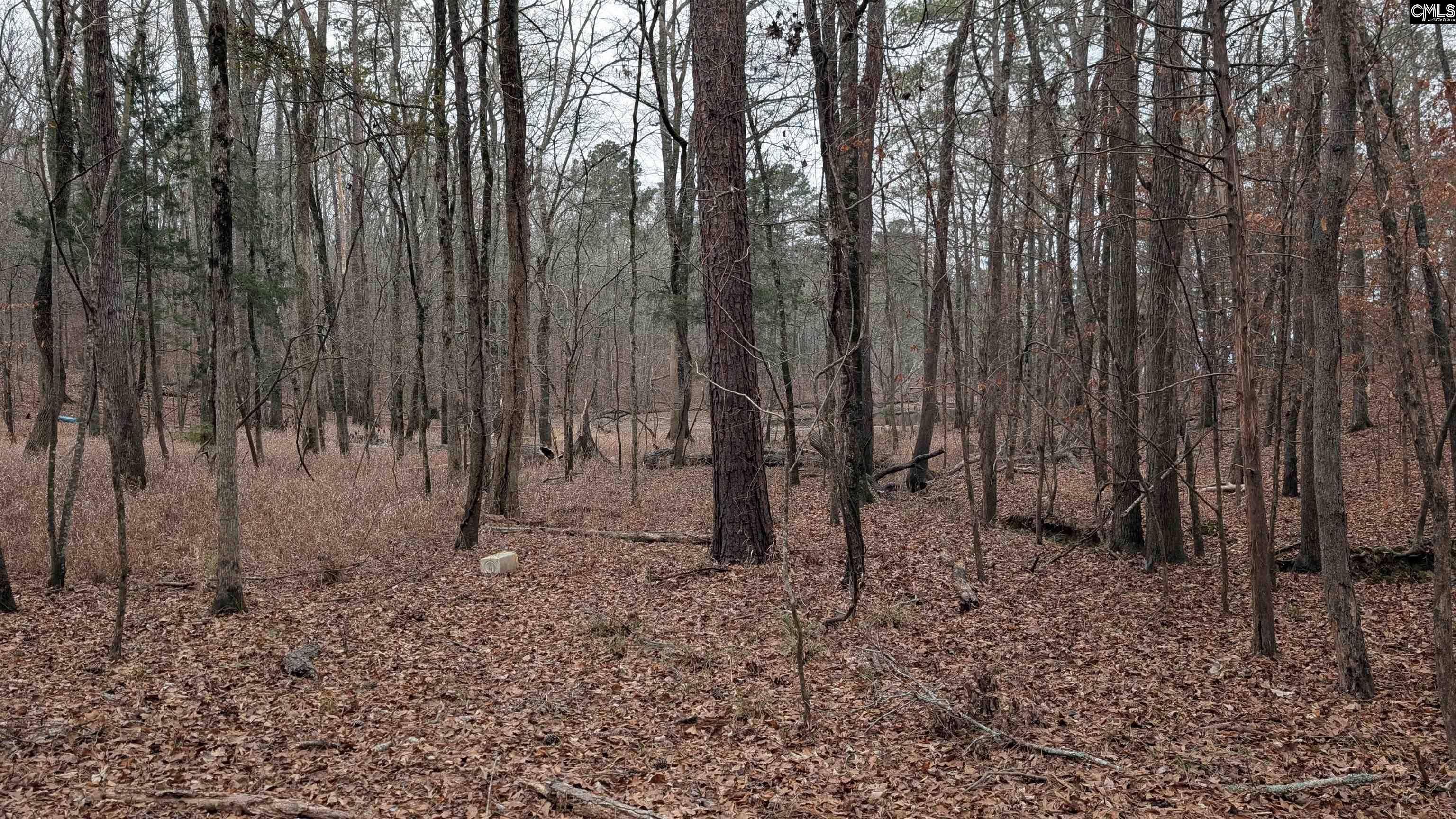 Lots B & C Miller Road UNIT B and C Camden, SC 29020-0000