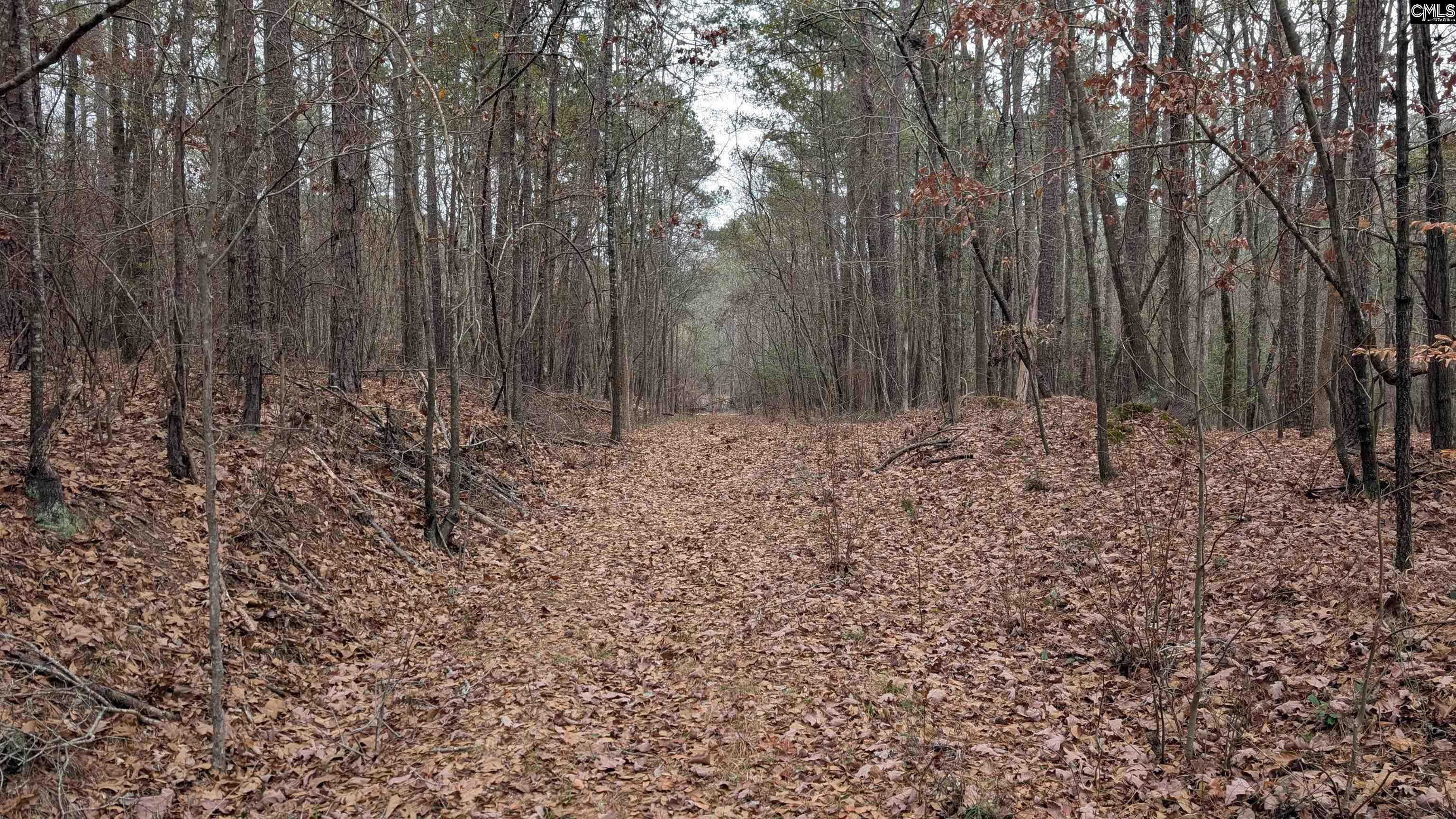 Lots B & C Miller Road UNIT B and C Camden, SC 29020-0000