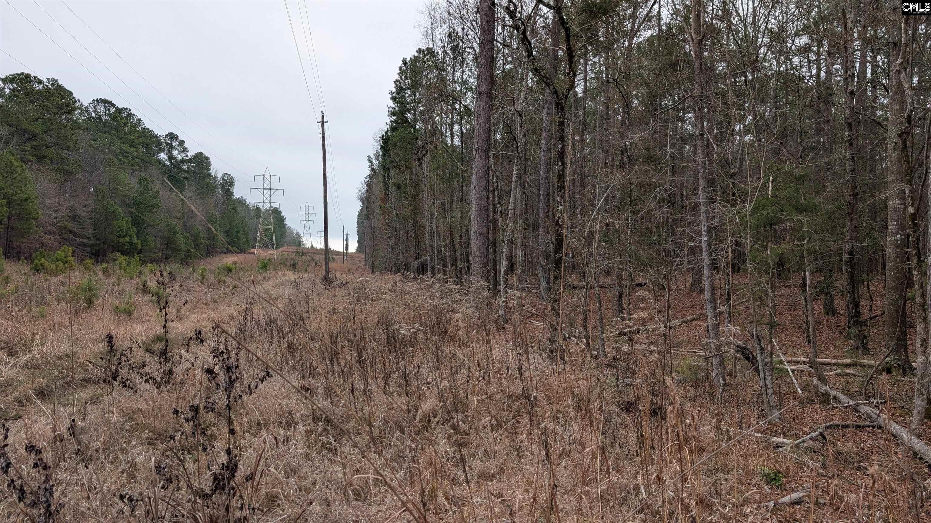 Lots B & C Miller Road UNIT B and C Camden, SC 29020-0000
