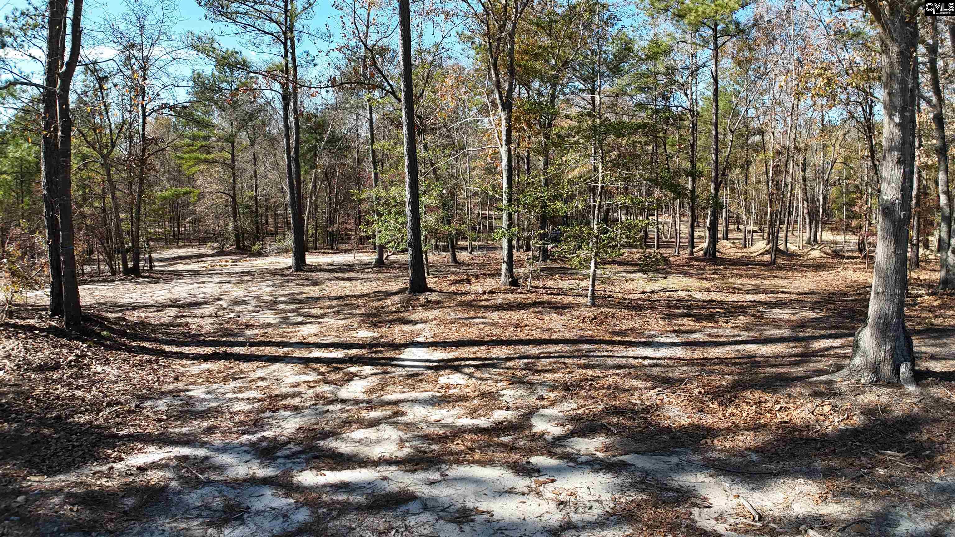 48 S Cub Road Elgin, SC 29045-0000