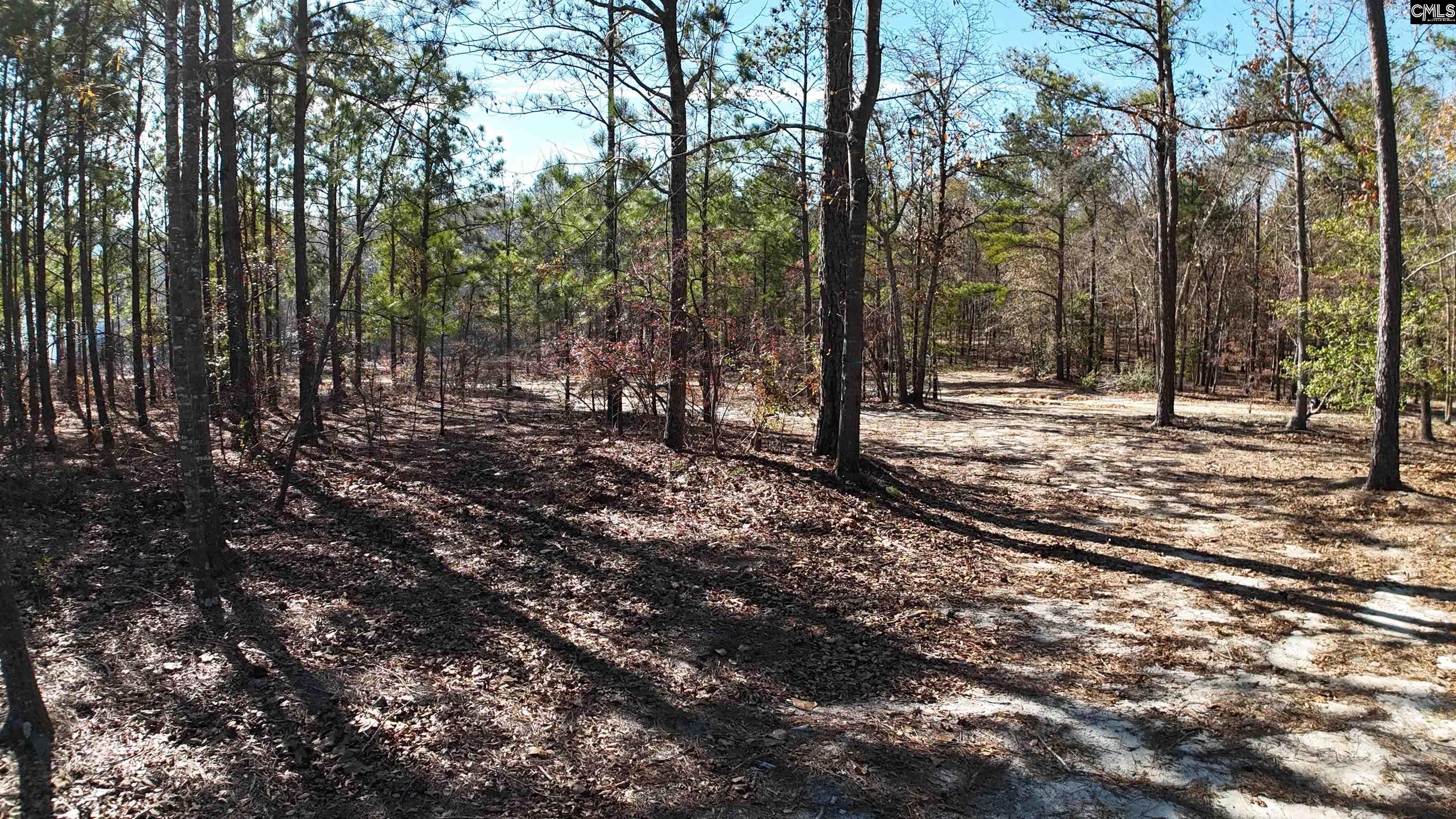 48 S Cub Road Elgin, SC 29045-0000