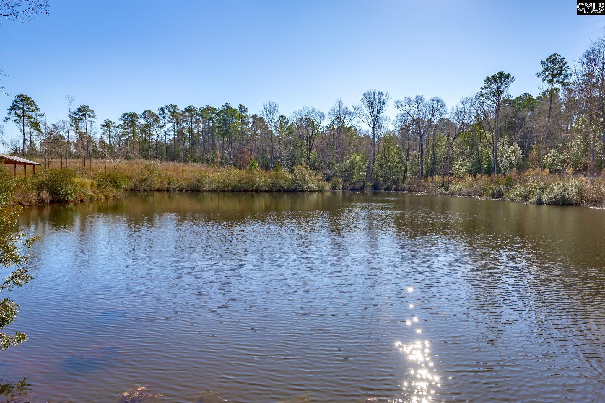 0501 Crooked Creek Road Chapin, SC 29036