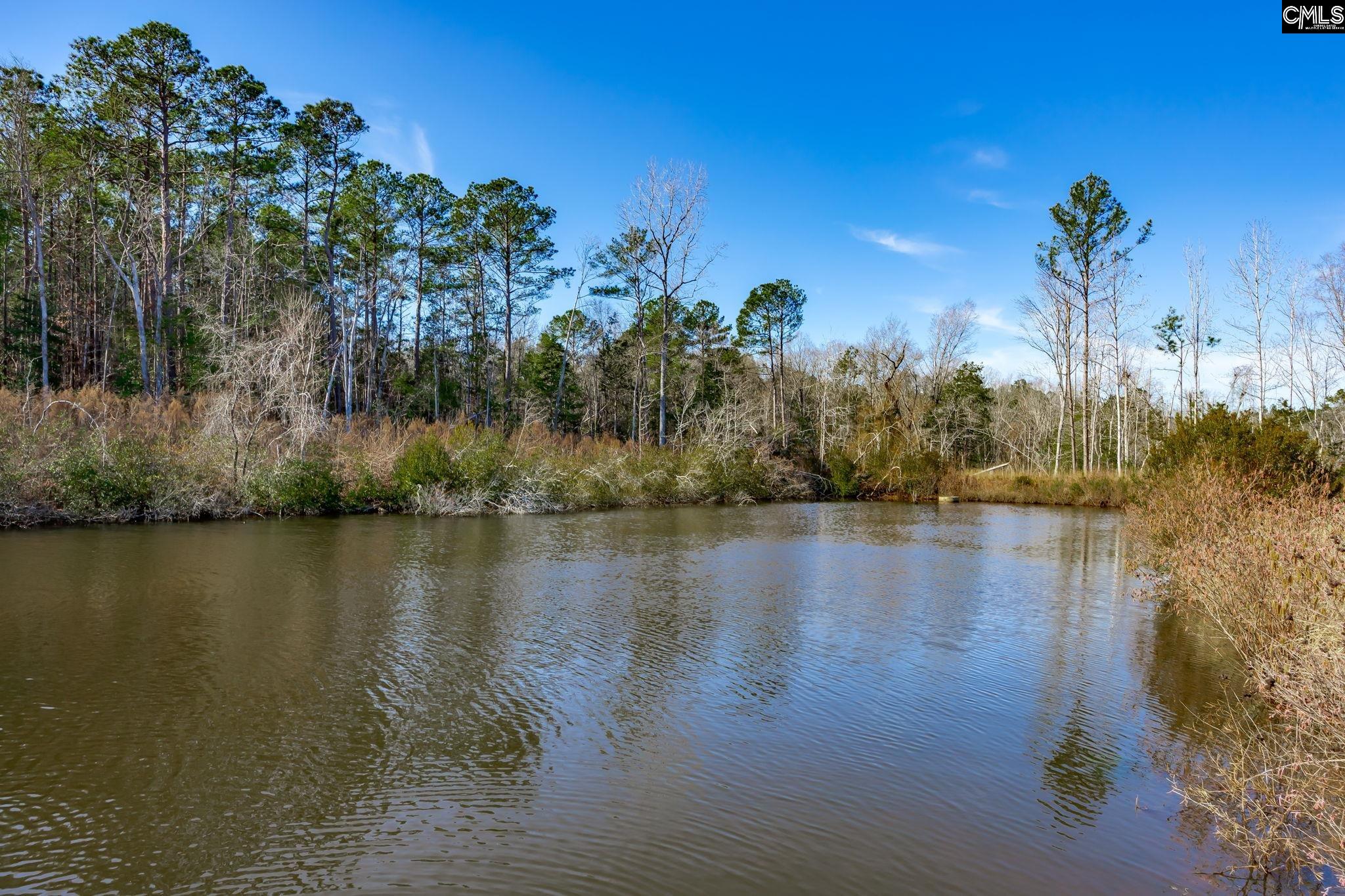0501 Crooked Creek Road Chapin, SC 29036
