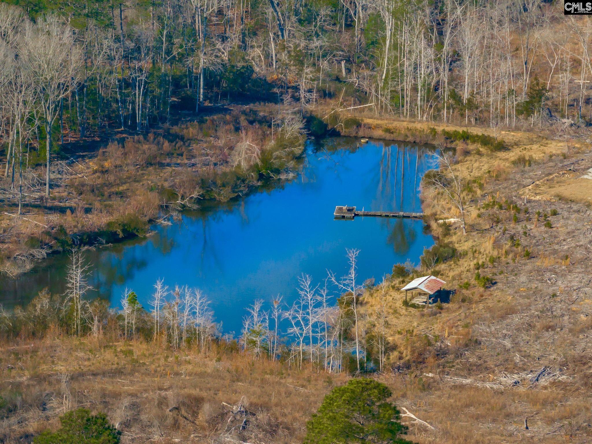 0501 Crooked Creek Road Chapin, SC 29036