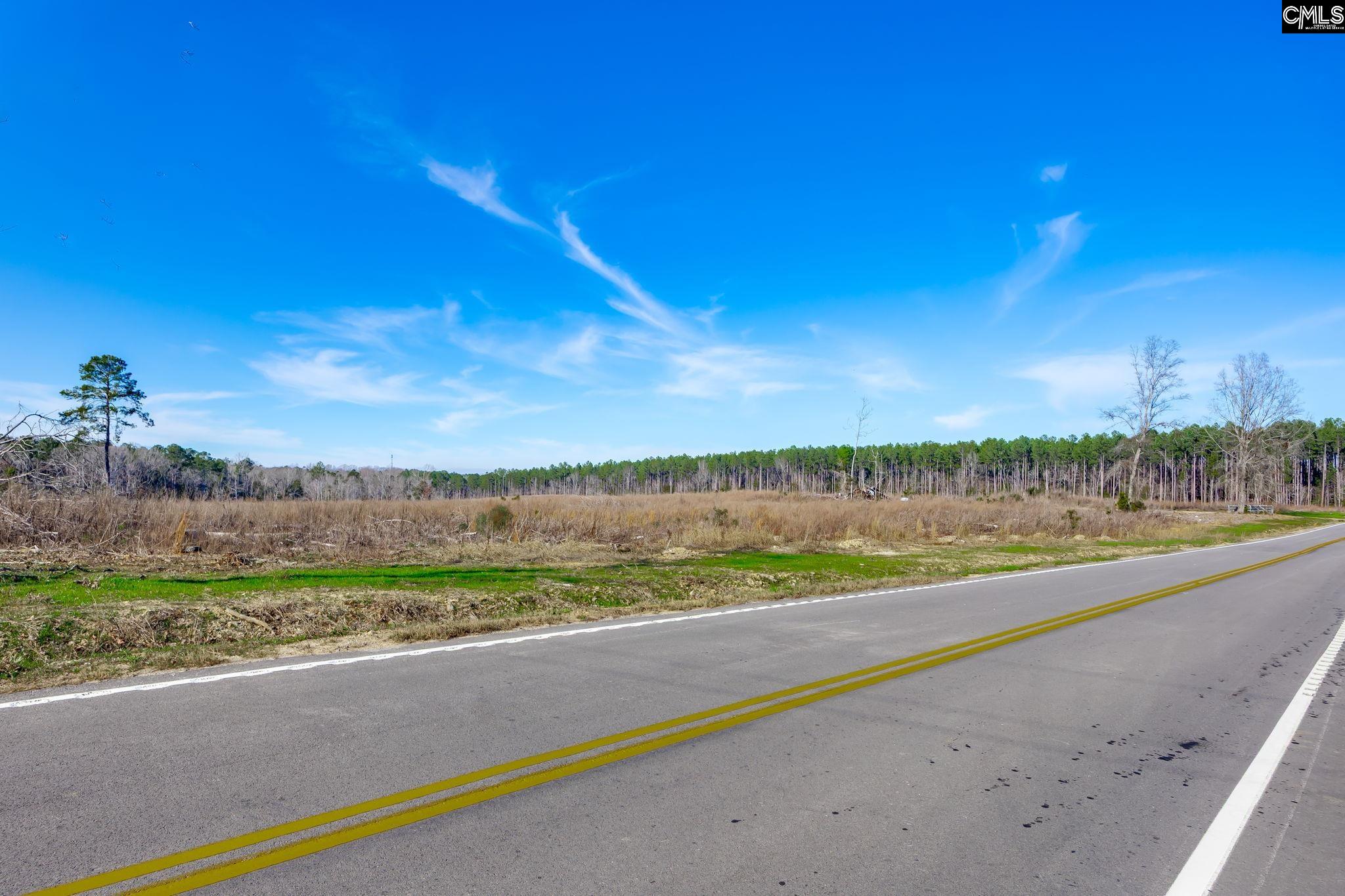 0501 Crooked Creek Road Chapin, SC 29036