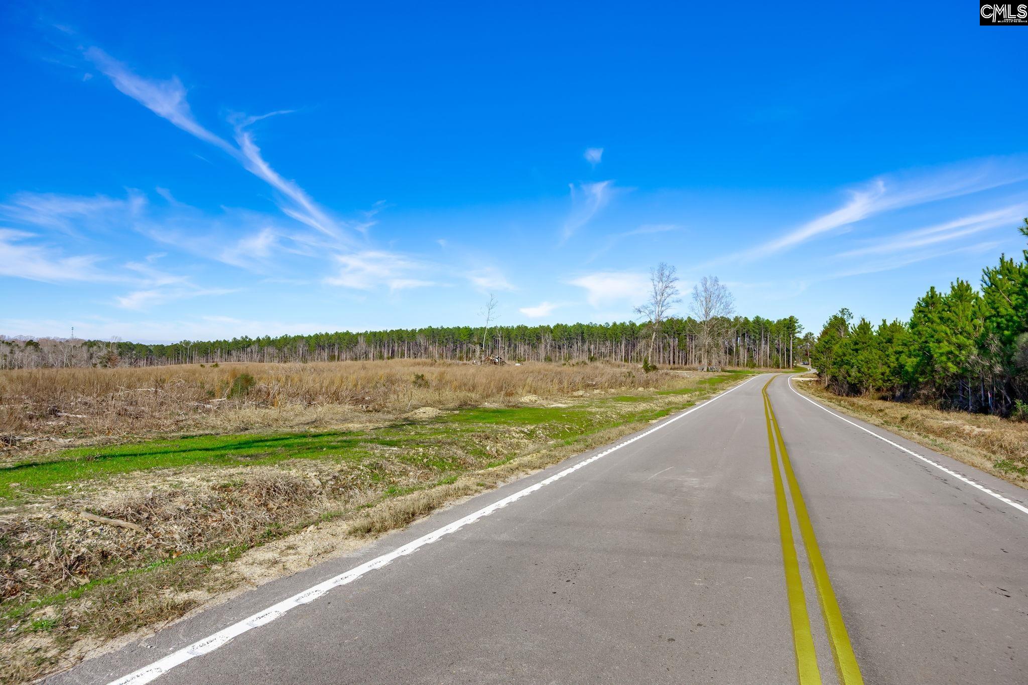 0501 Crooked Creek Road Chapin, SC 29036