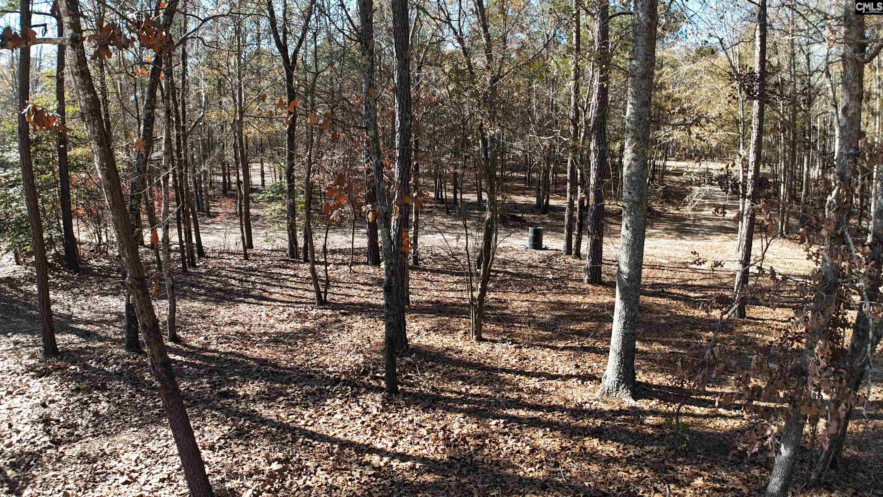 48 S Cub Road Elgin, SC 29045-0000