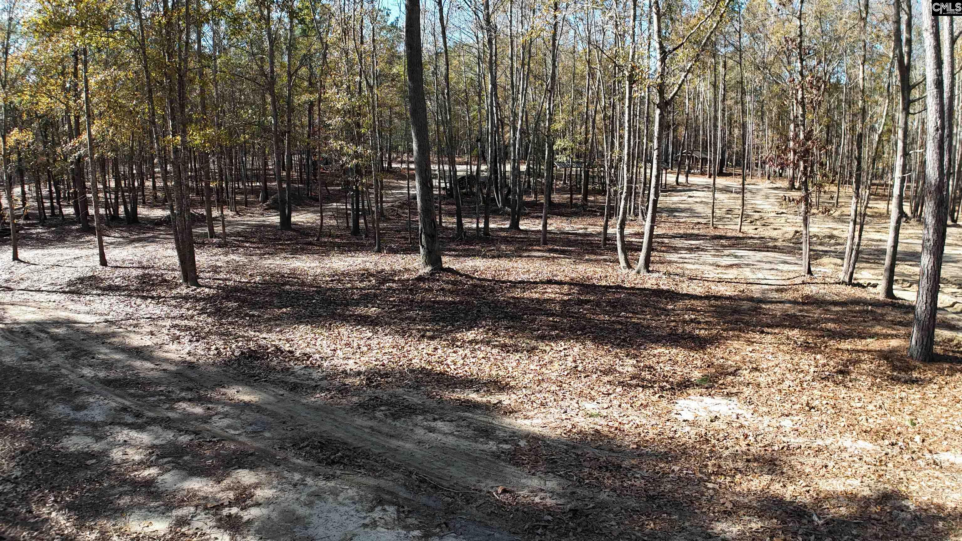 48 S Cub Road Elgin, SC 29045-0000