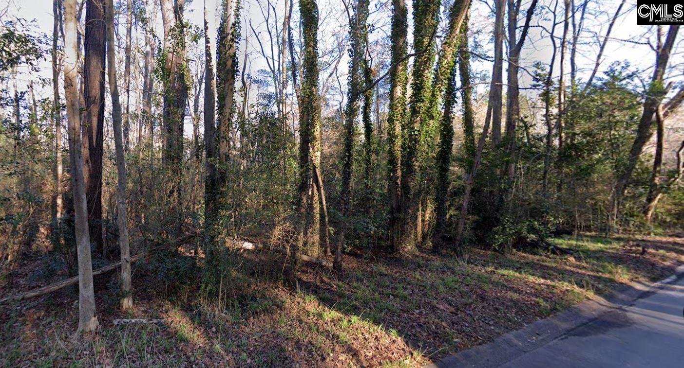 Terrace View Drive West Columbia, SC 29169