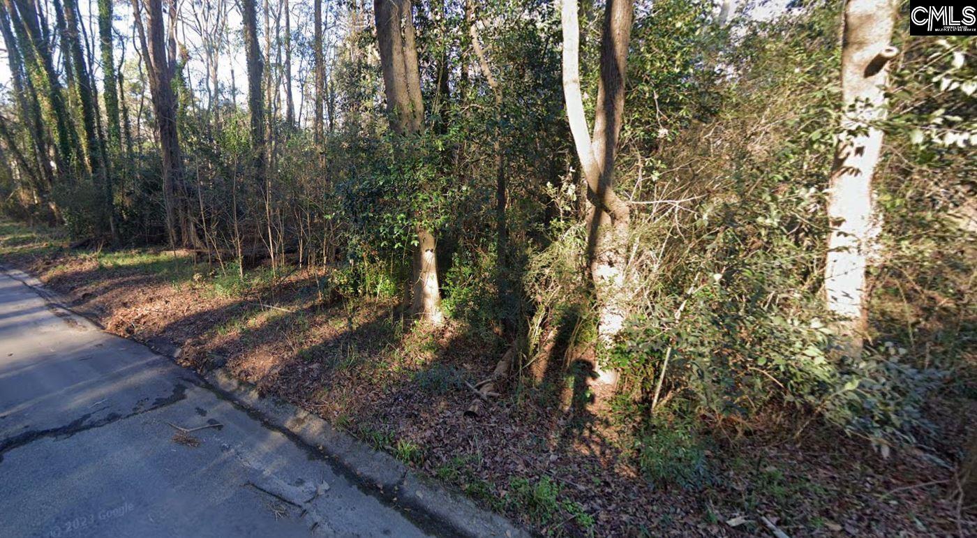 Terrace View Drive West Columbia, SC 29169