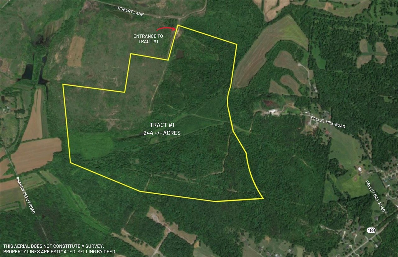 Acreage!! Beautiful 244 +/- acres with pond and open area. Excellent hunting land! Marketable timber!