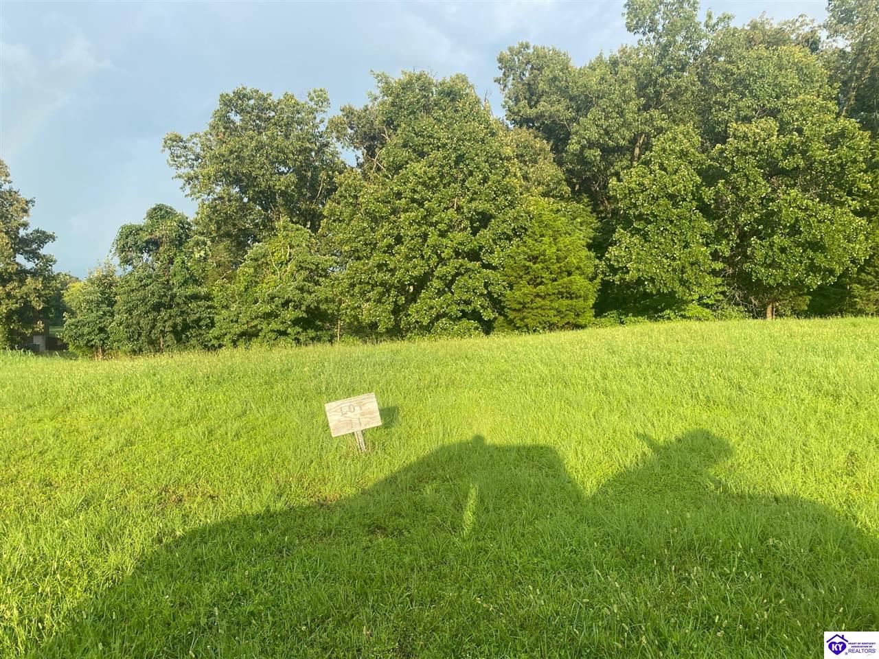 LOT 11 #2 ChinoeRadcliff, KY 40160