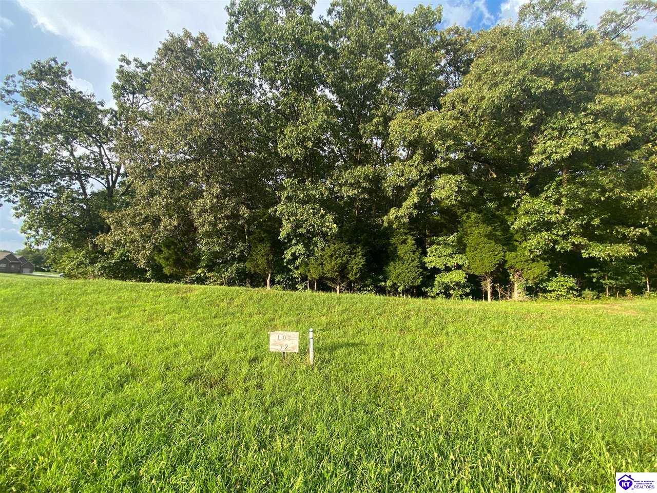 LOT 12 #2 ChinoeRadcliff, KY 40160