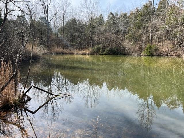 0 Beulah Hill Road, Dawson Springs, KY 42408