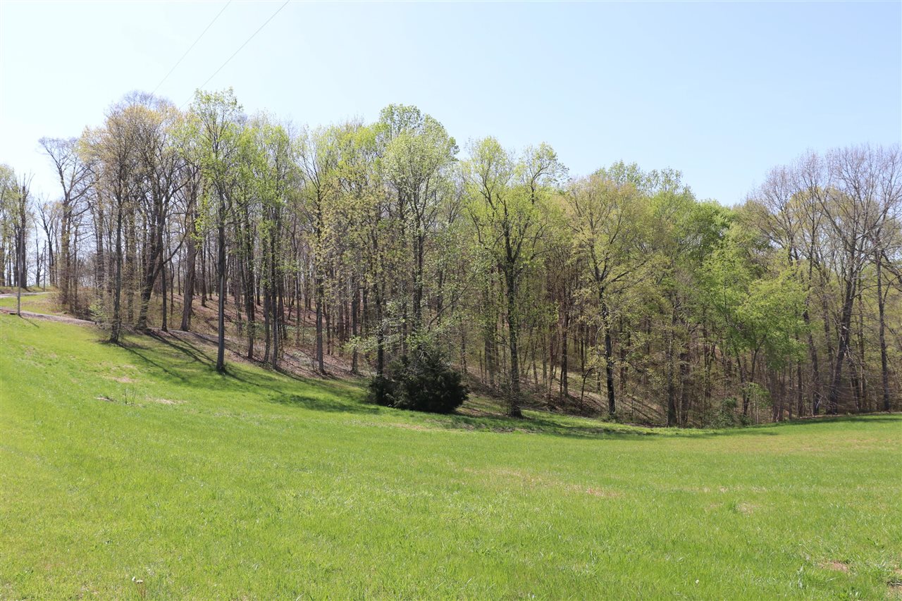 Lots 82 & 83 John Holder Drive, Scottsville, KY 42164