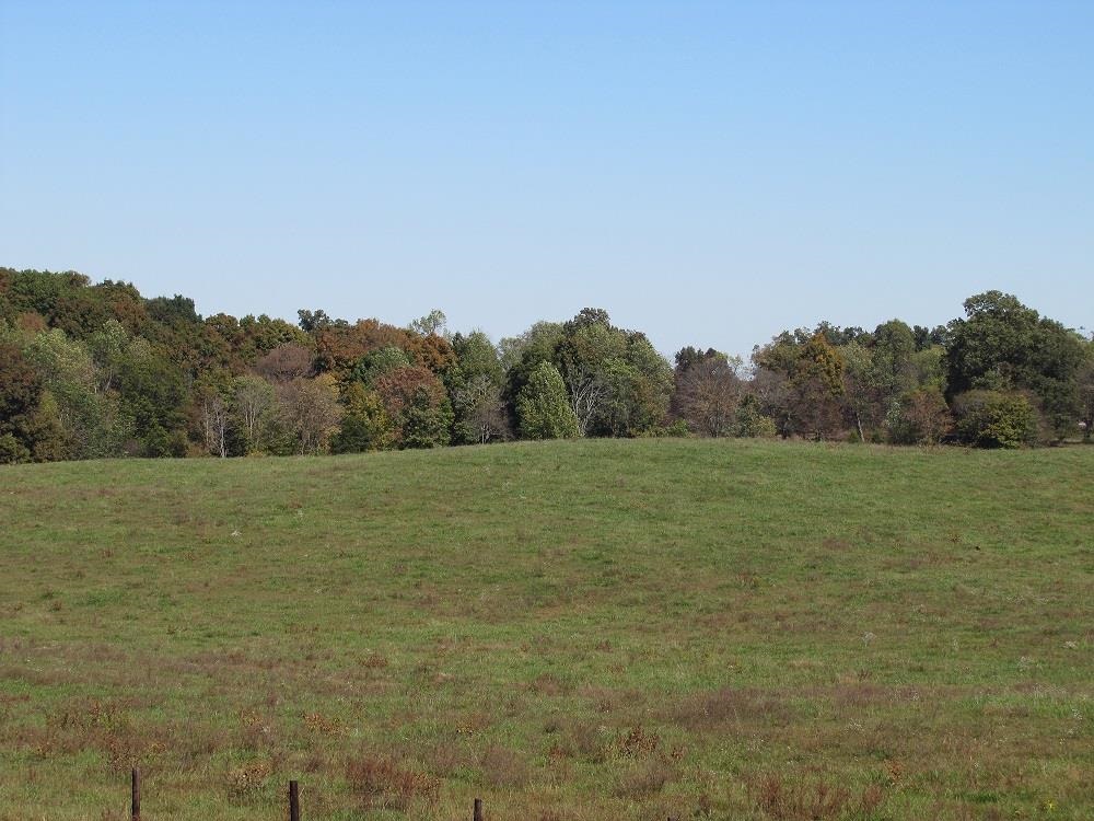 1924 Carl Hurt Road, Scottsville, KY 42164