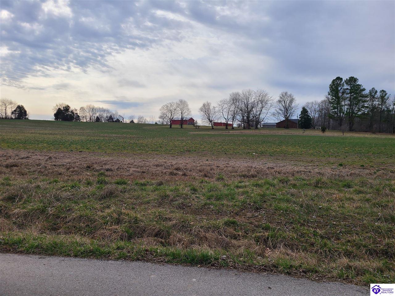 Tract 2B Oak Grove Church RoadSmiths Grove, KY 42171