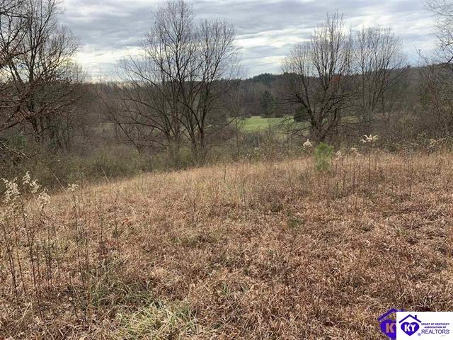 1351 Sunbeam RoadLeitchfield, KY 42754