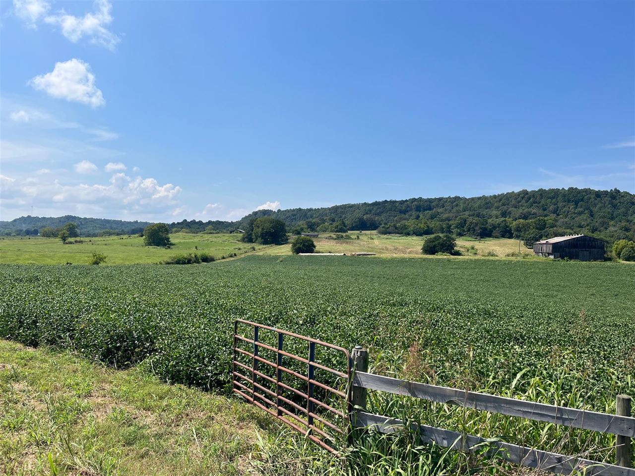 1405 N Dixie Highway, Horse Cave, KY 42749